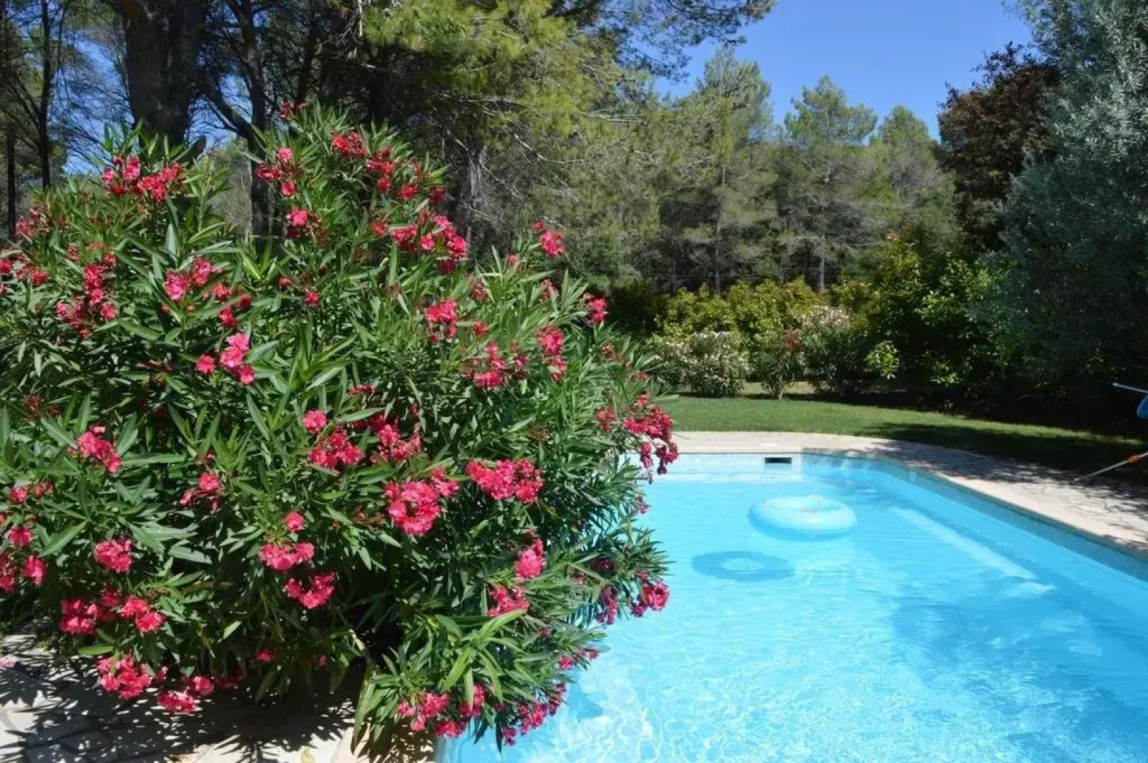 Chambre D'hôtes La Roquemalière