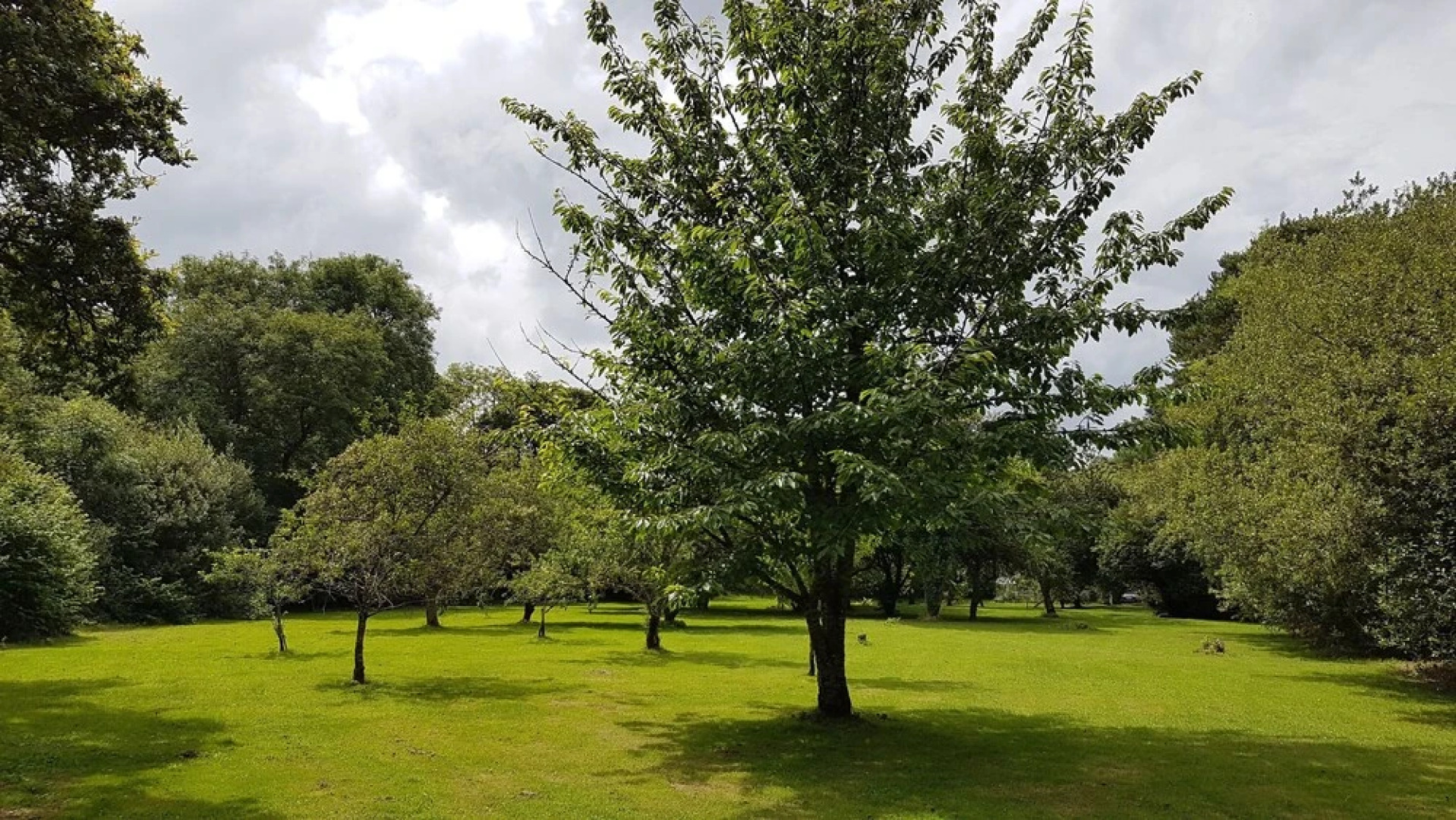 The Wriggly Tin & Baa Spa at Tregoose Old Mill