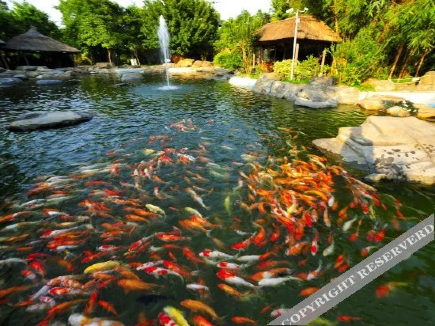 Techeng Island Resort