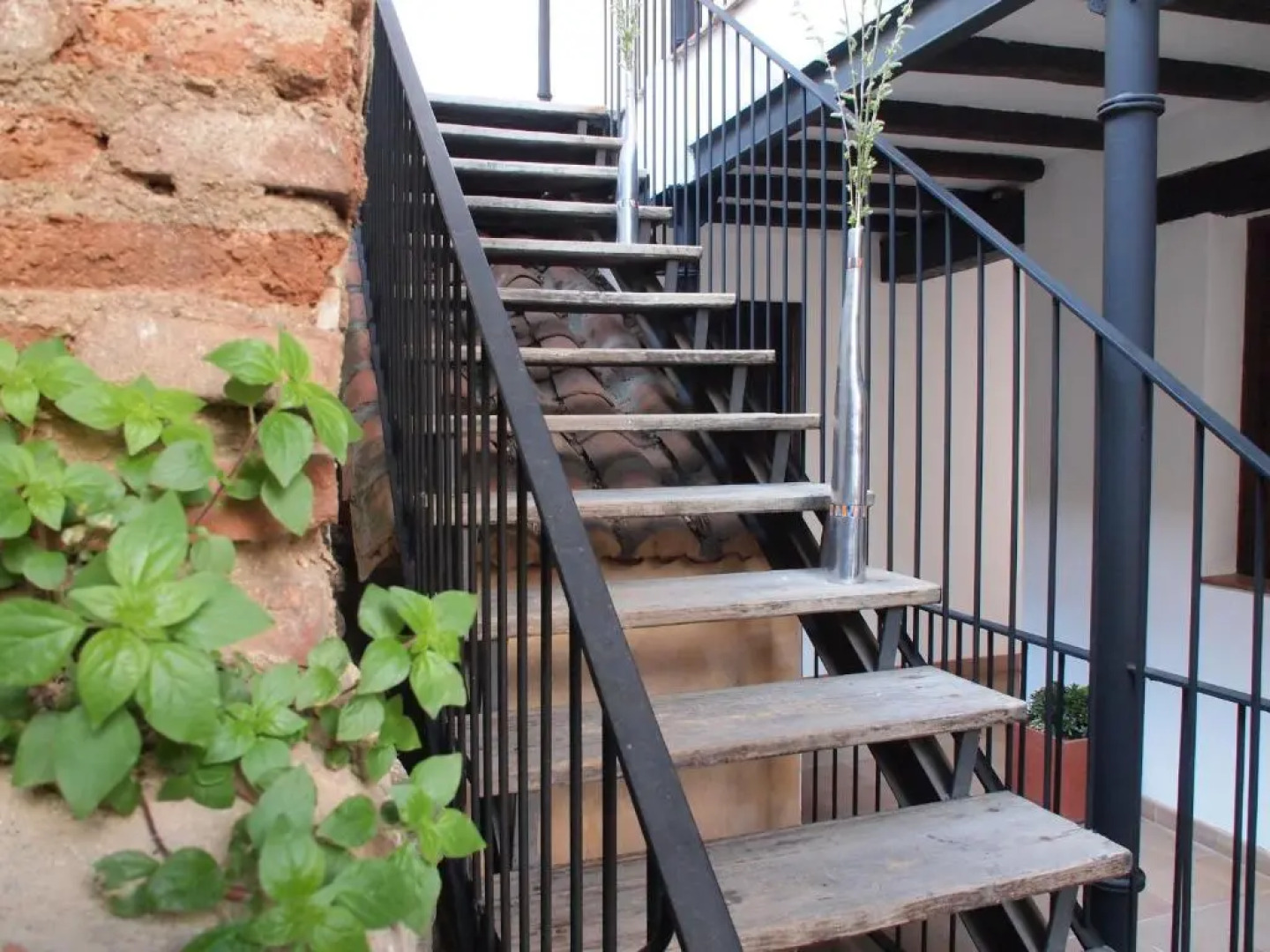 Apartamentos La Iguana