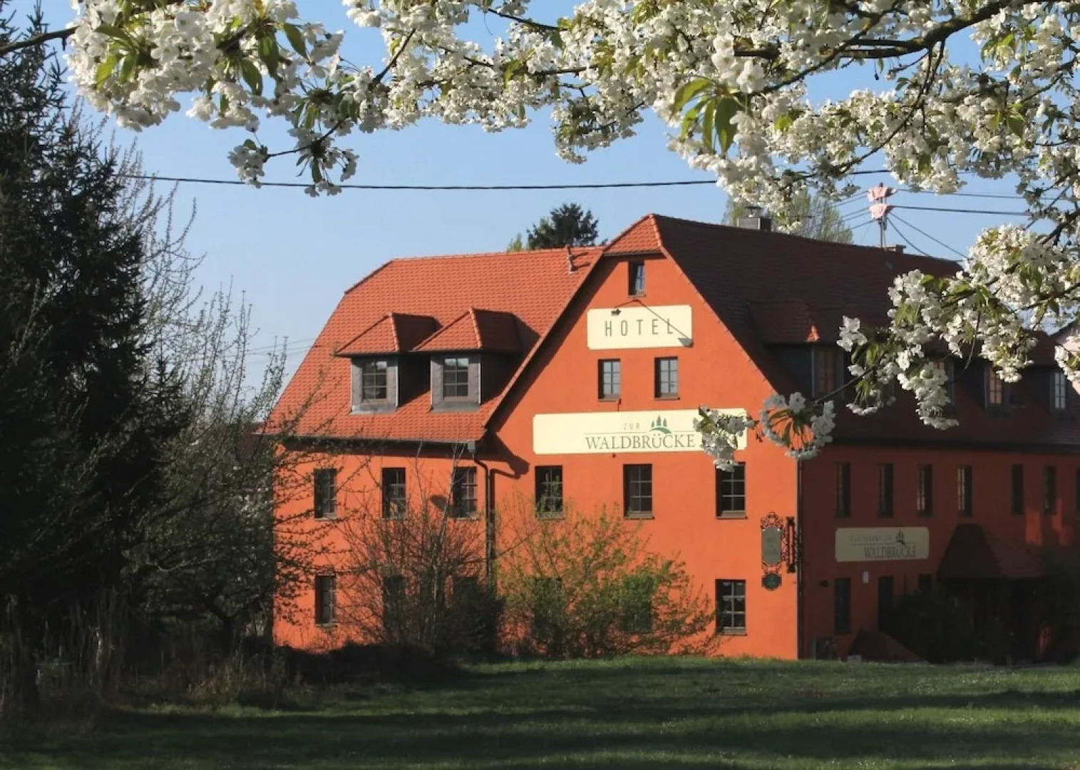Hotel Zur Waldbrucke