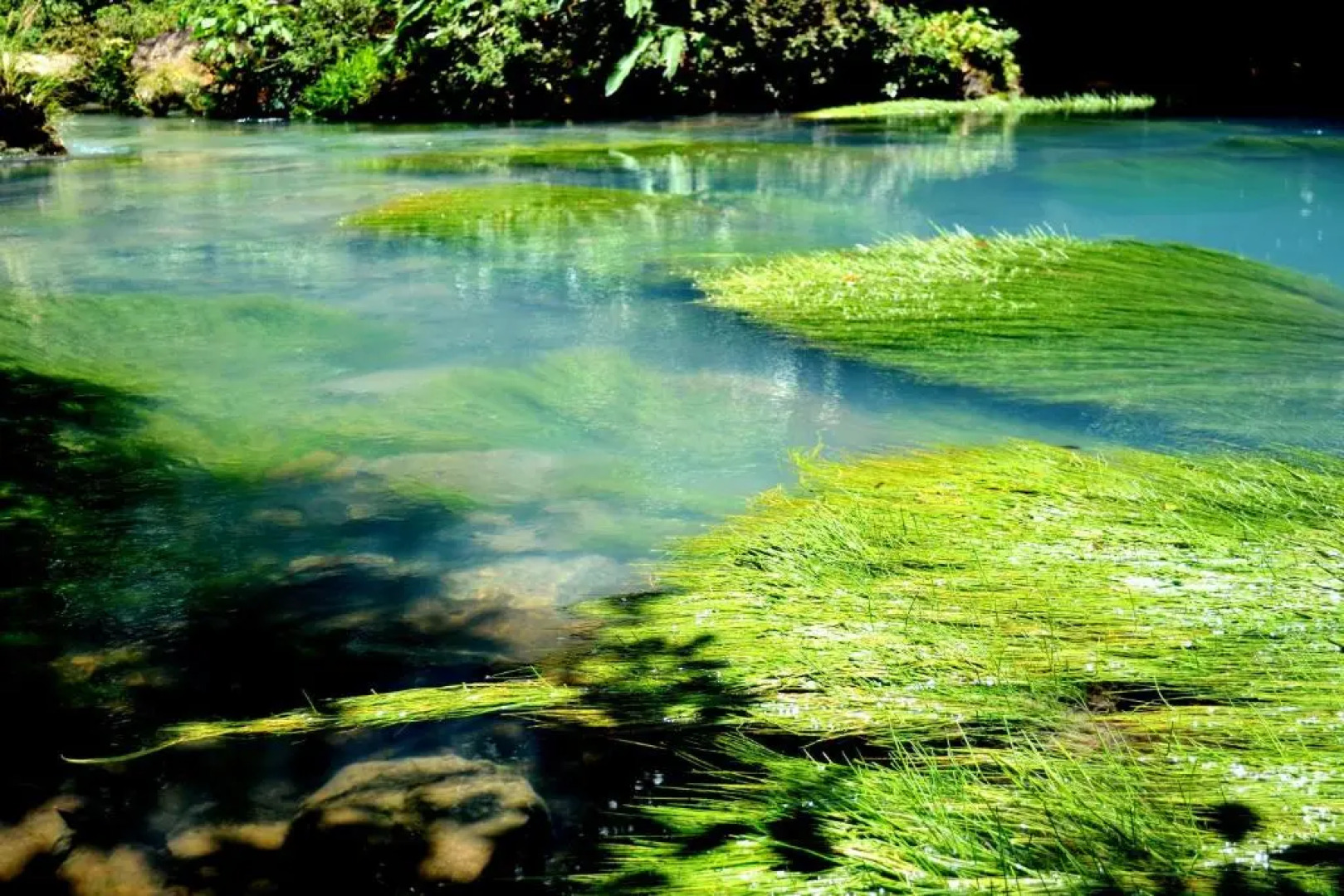 Vocaré Agroecoturismo