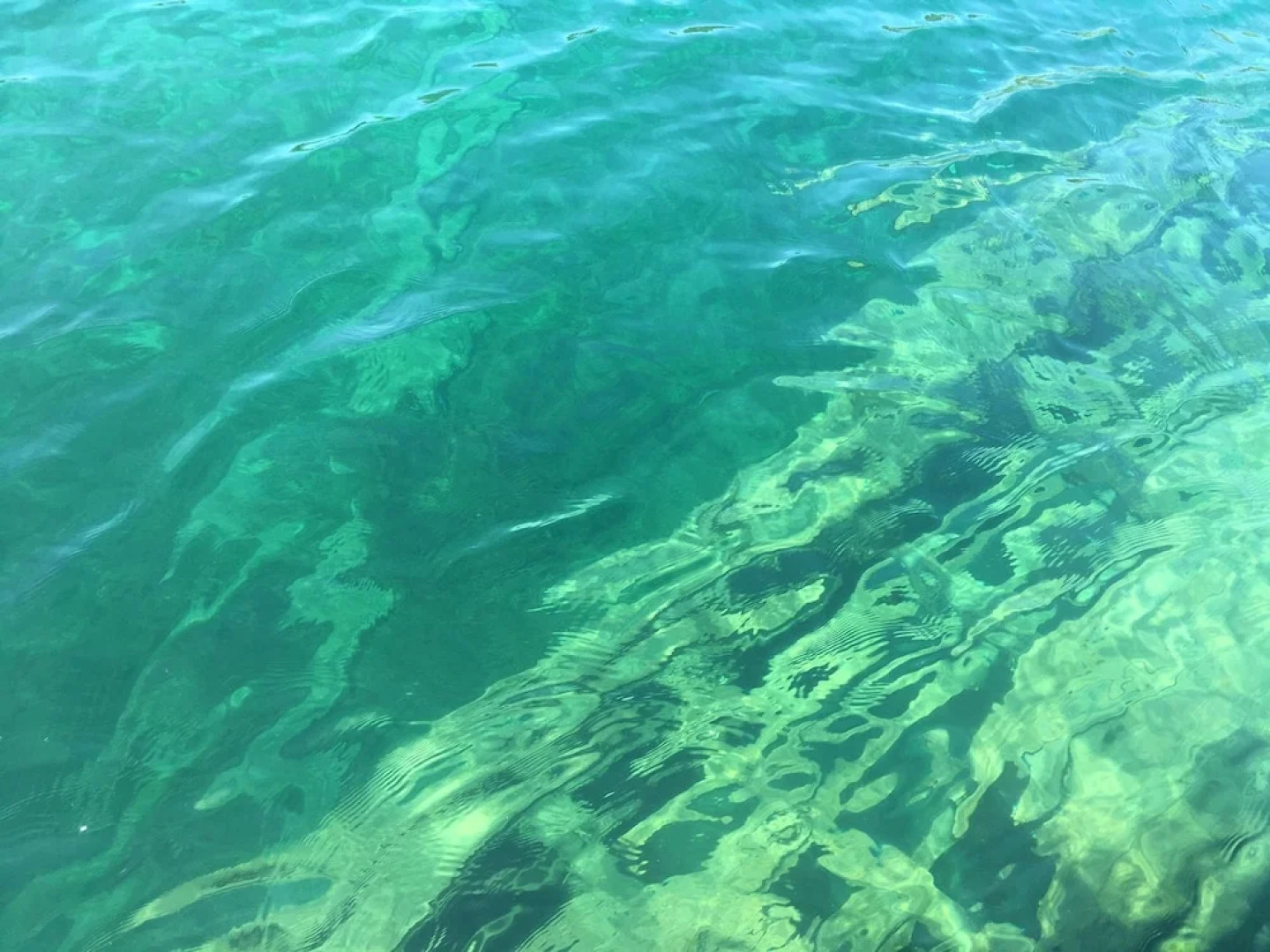 The Robin's Nest Tobermory