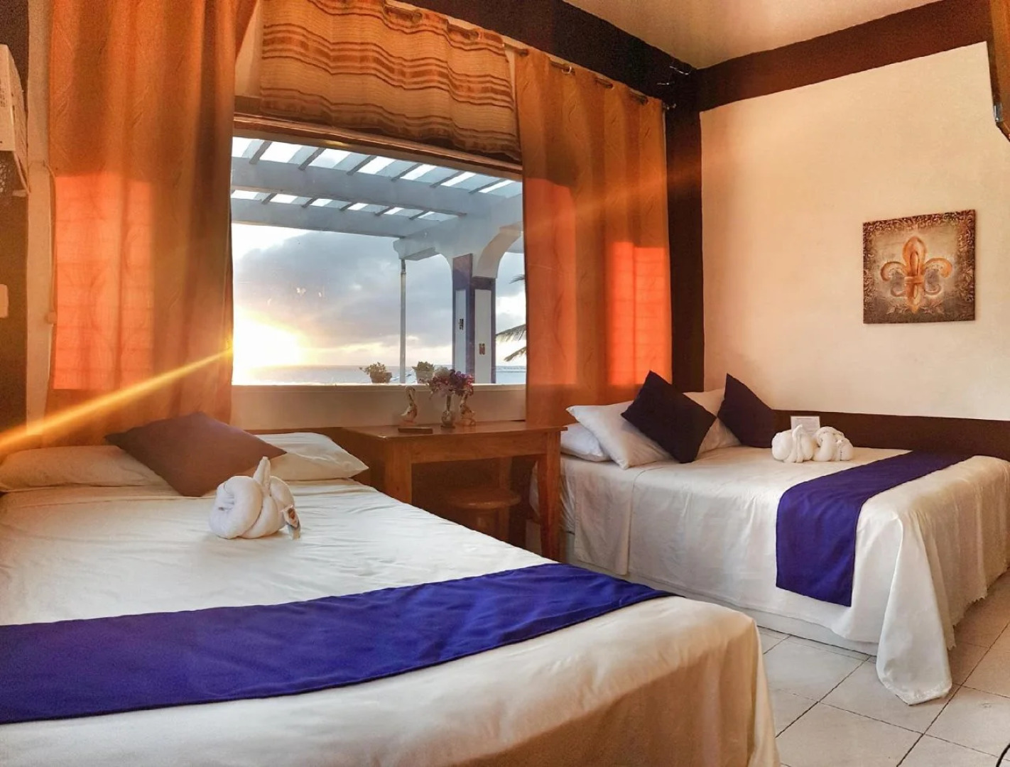 shanedel's inn & café