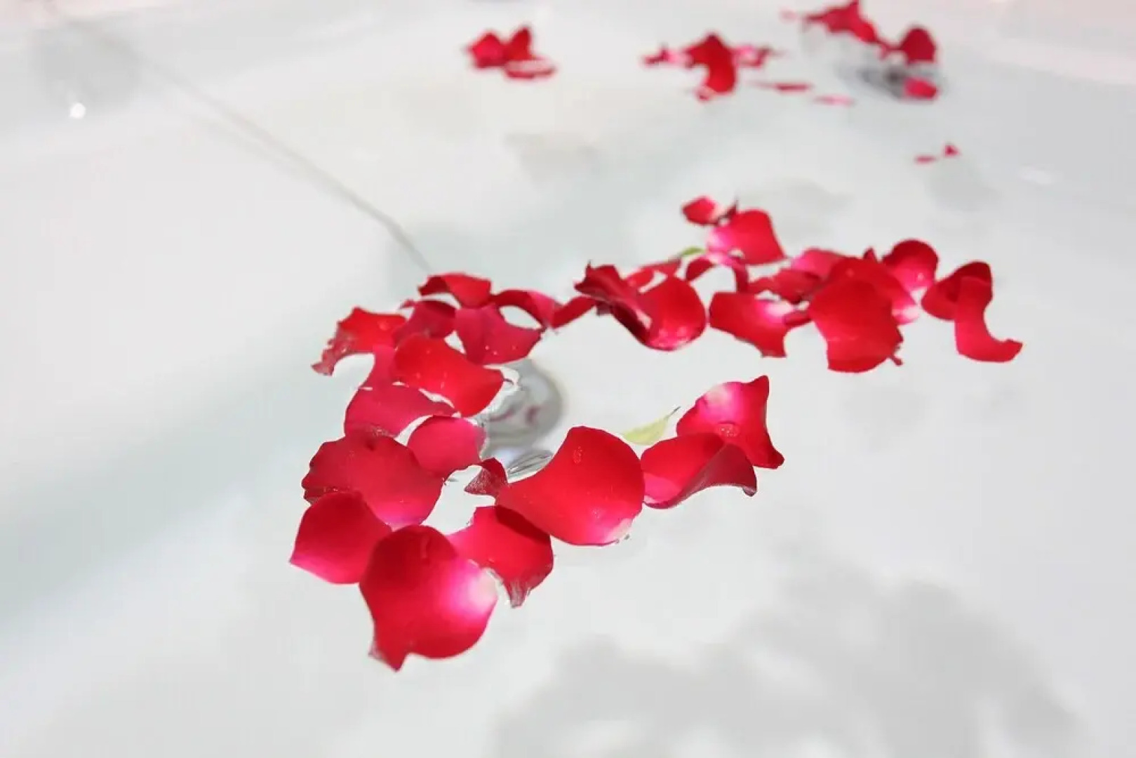 Nonsan Mountain Hotel