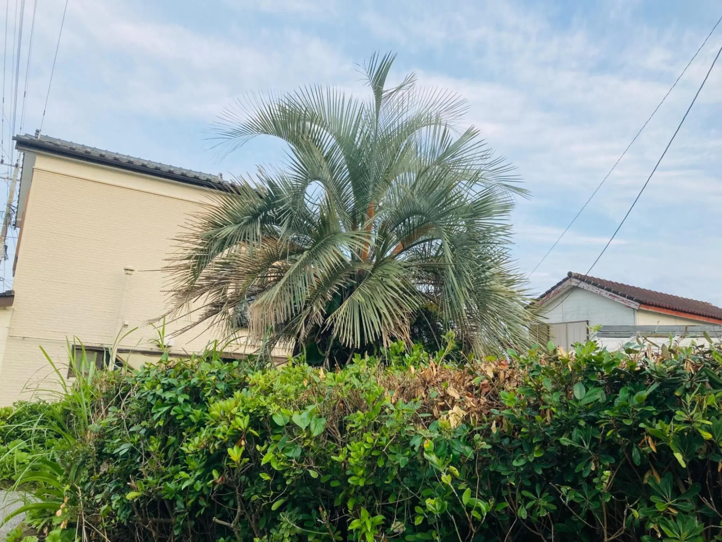 Guesthouse Nichinan - Vacation STAY 82905v