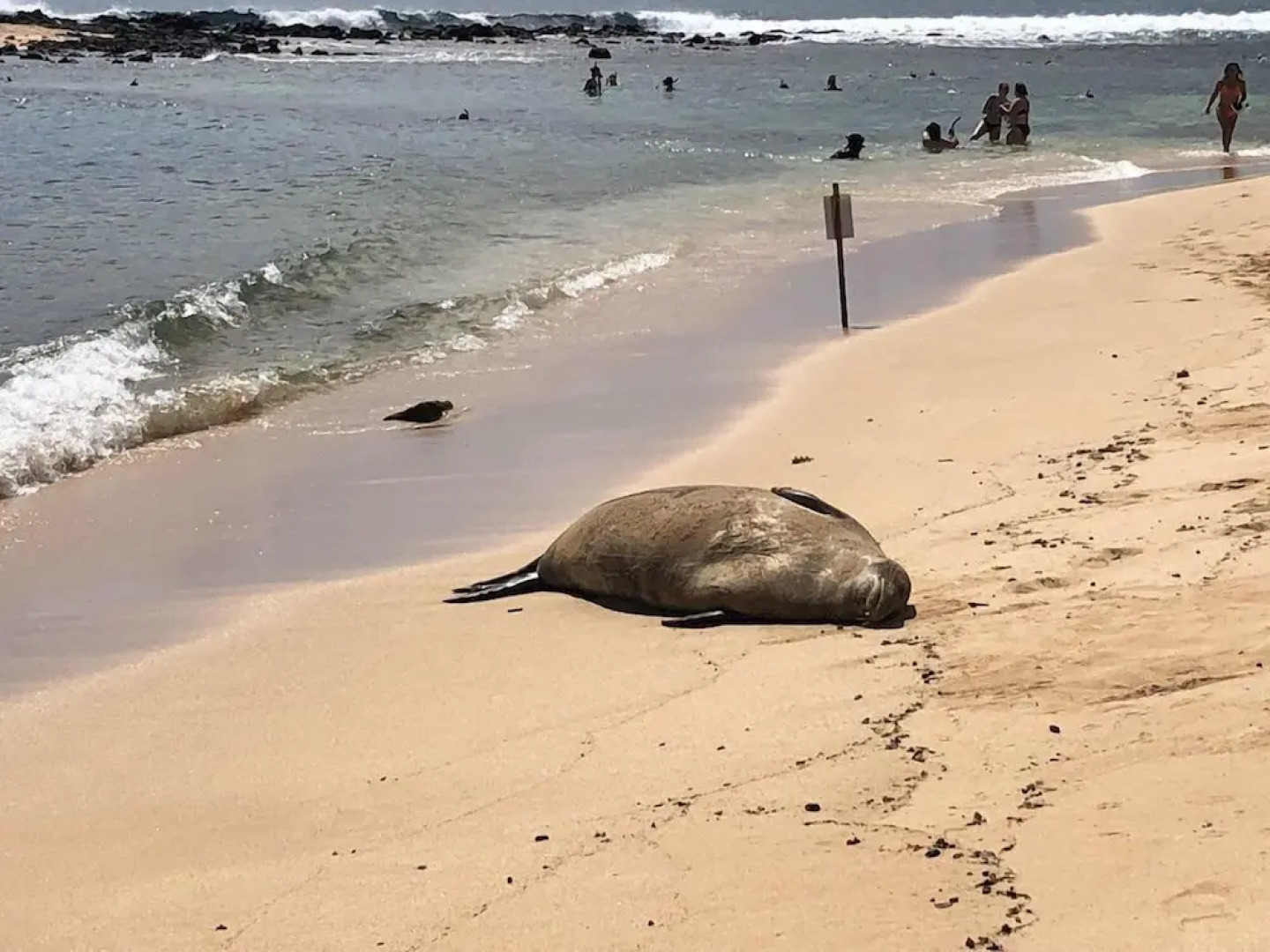 2417 at Lihue Oceanfront Resort