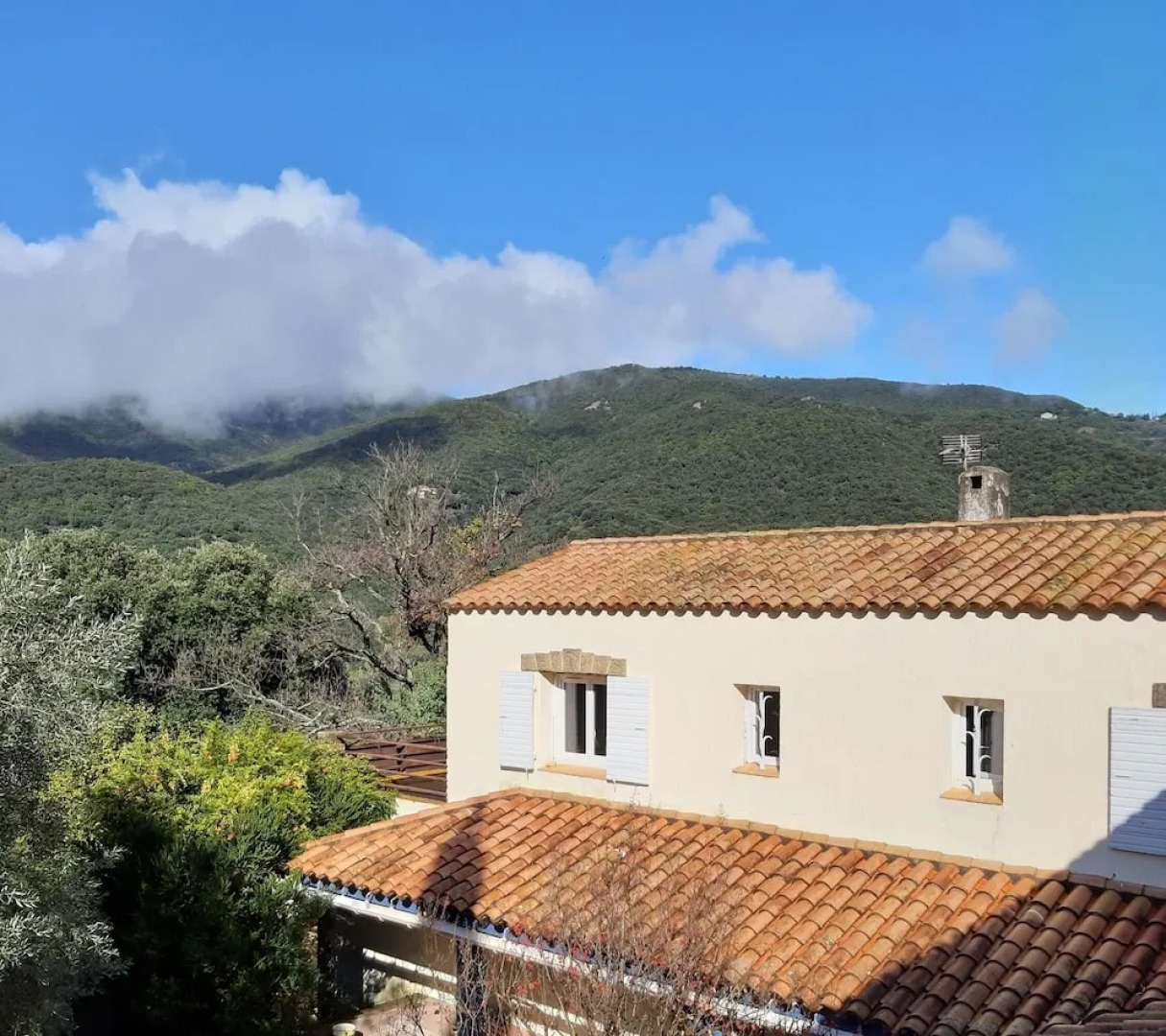 Villa Bonheur Vallespir - Villa Entière