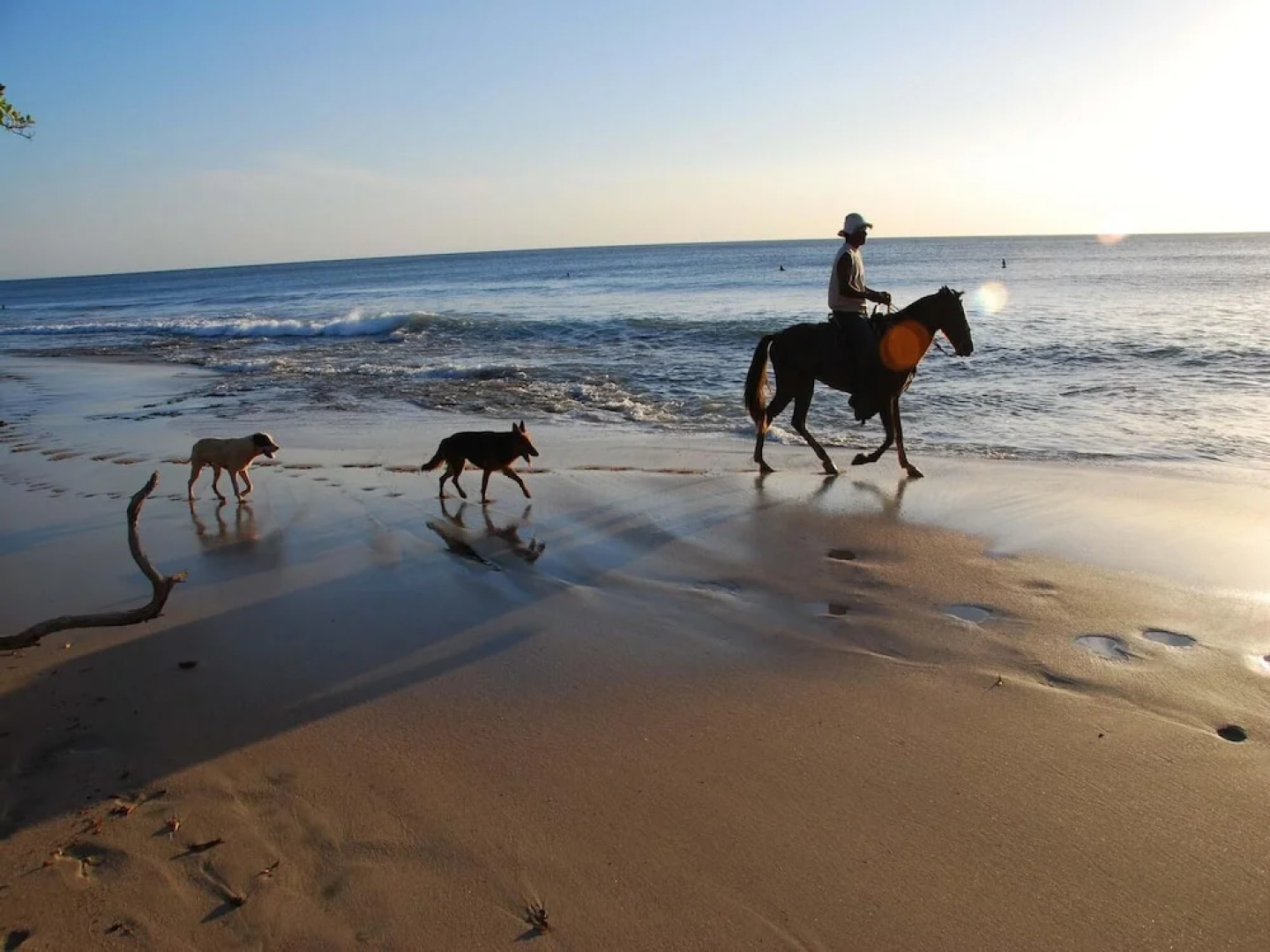 Luxury Flamingo home with ocean view sleeps 10 - walking distance from beach