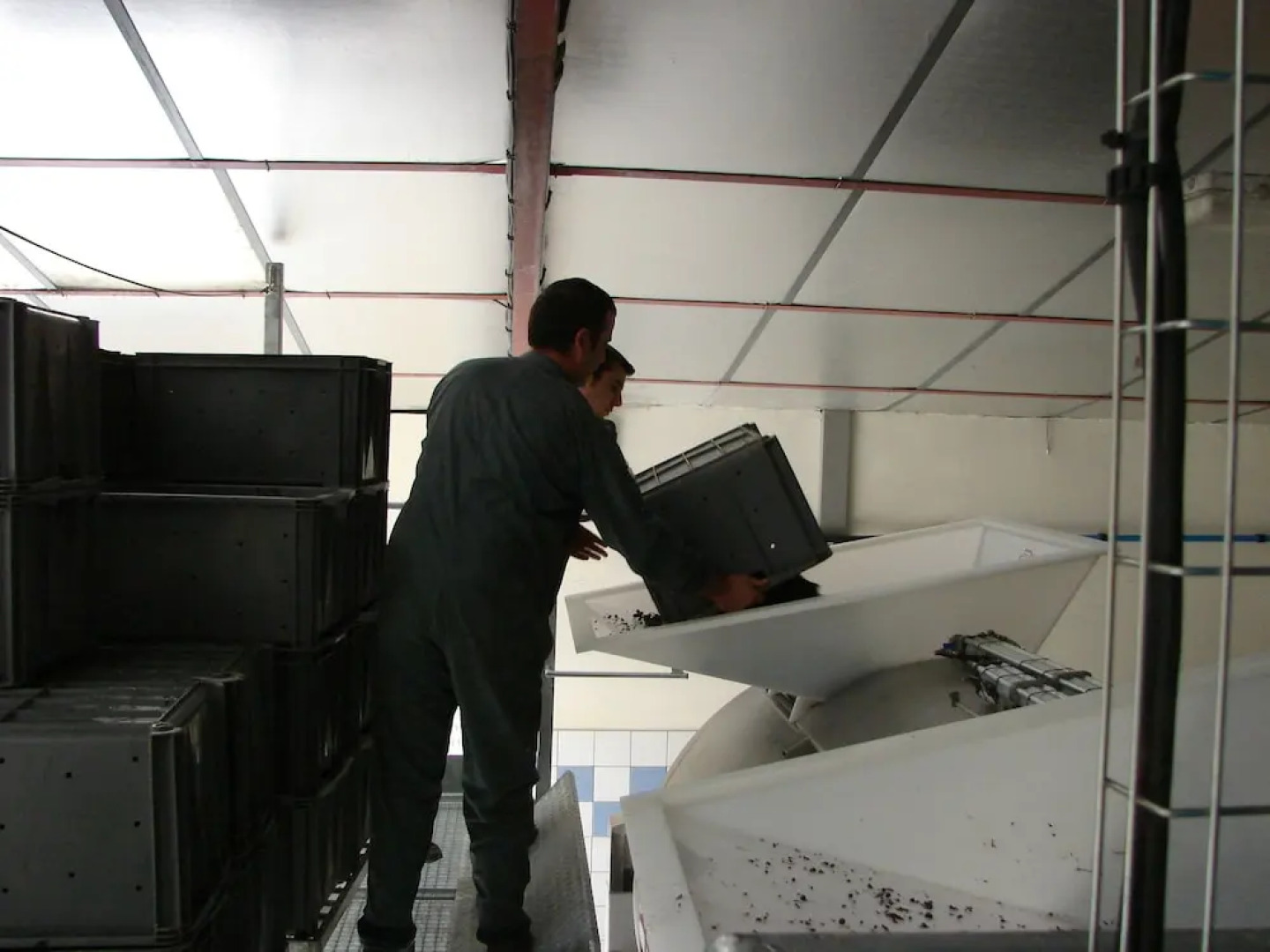 Chambres D'hôtes Champagne Douard