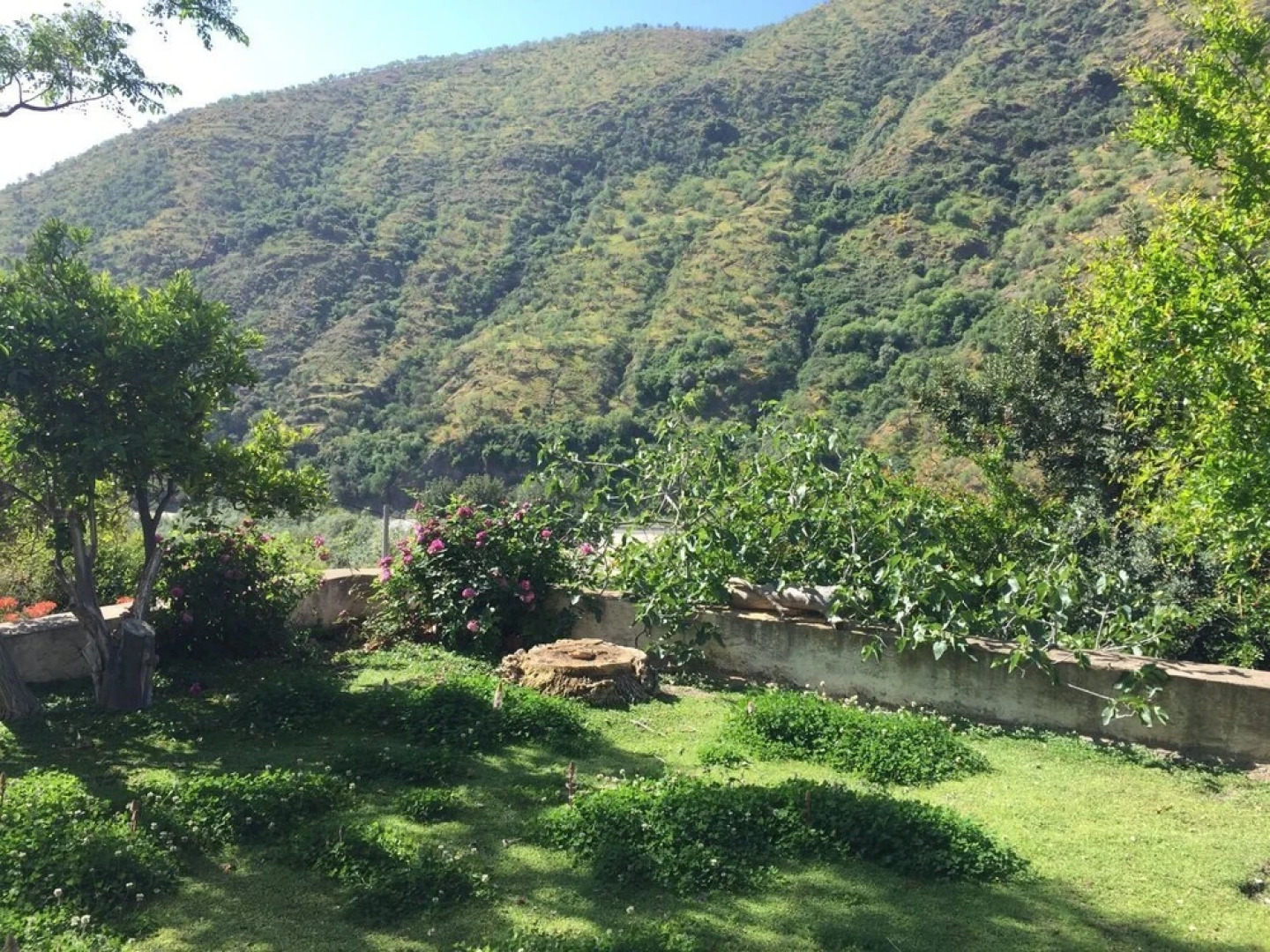 Cortijo La Caseria del Carmen