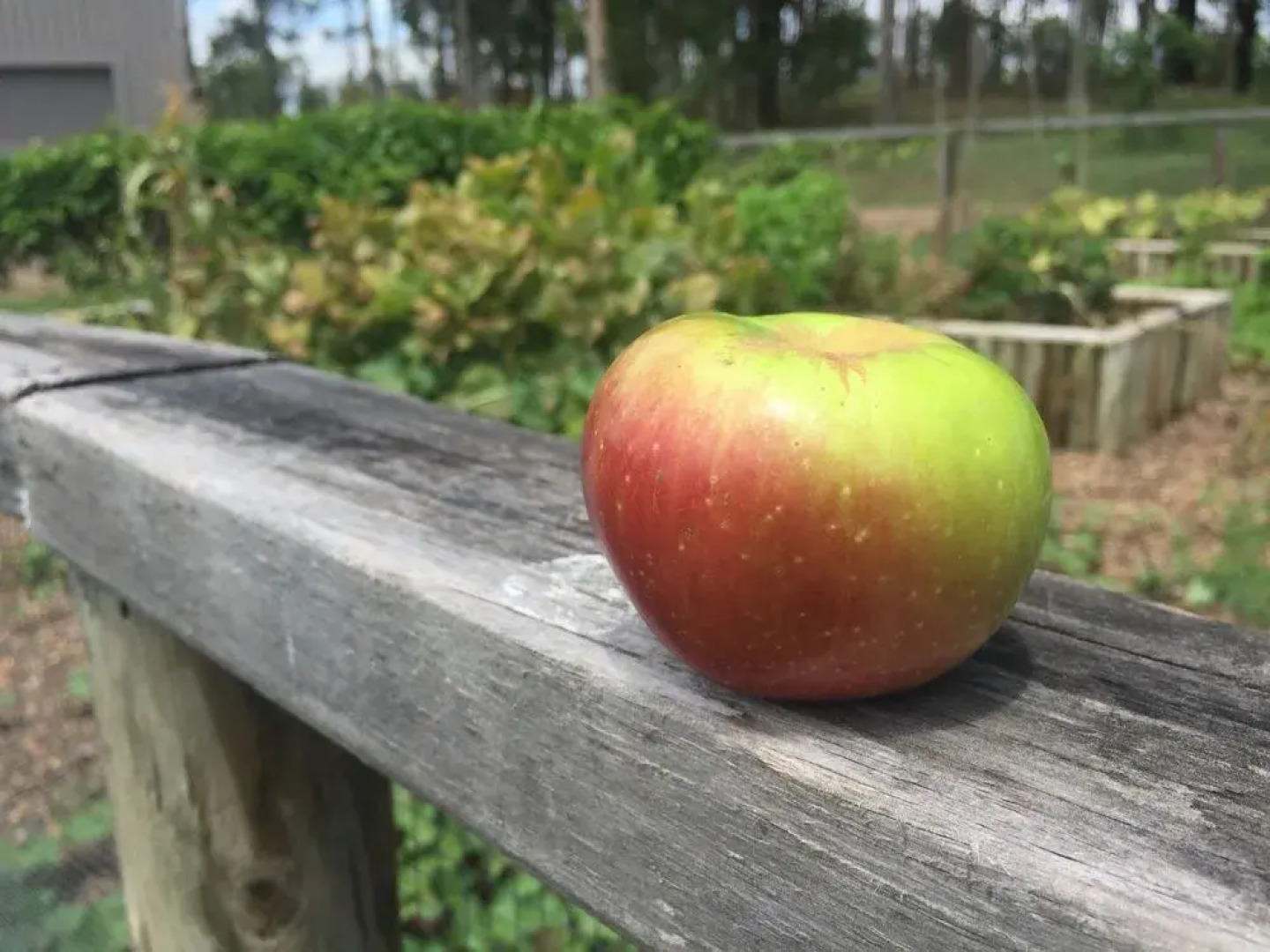 Block Eight Hunter Valley