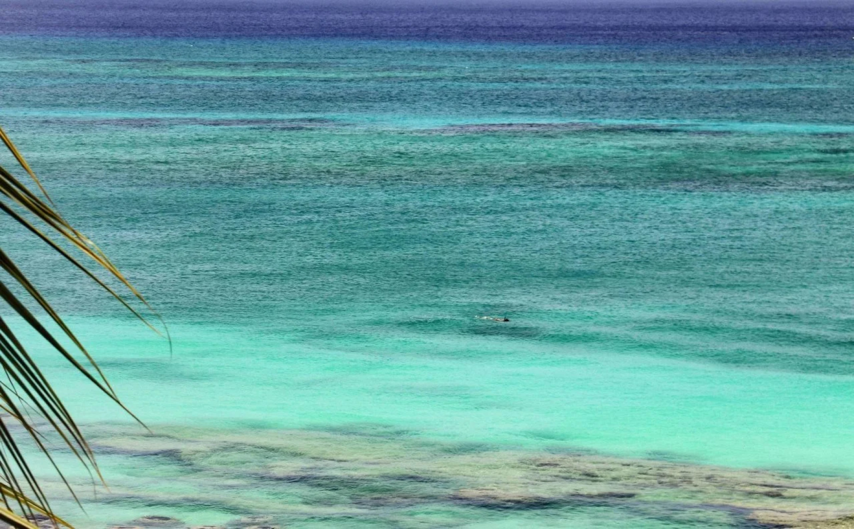 Grand Cayman Marriott Resort