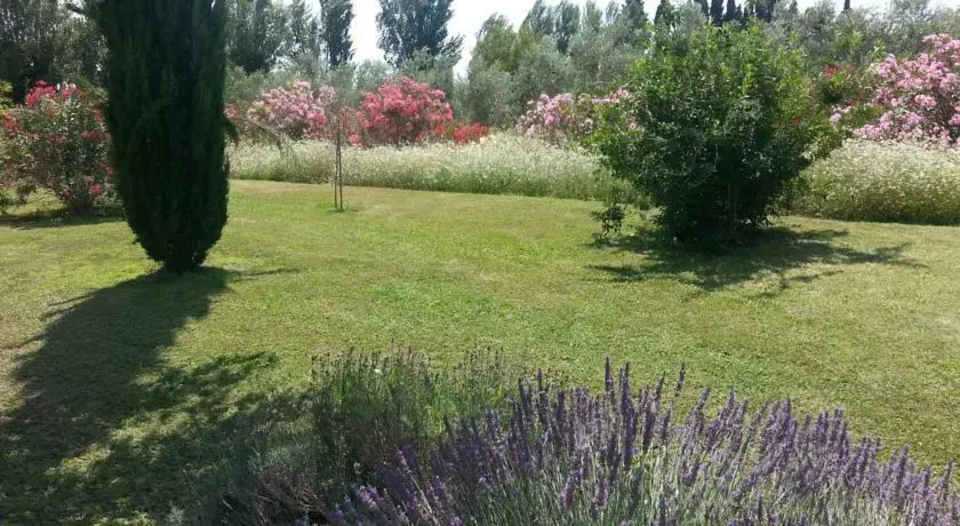 Les Maisons dEstelle