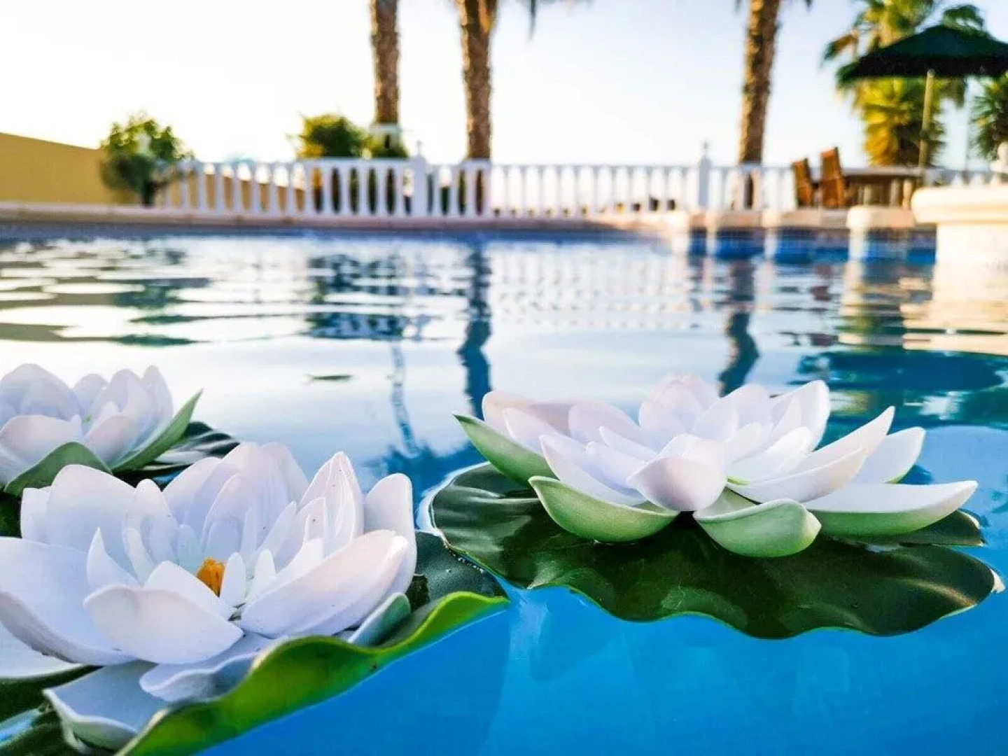 Villa 98 Bed & Breakfast