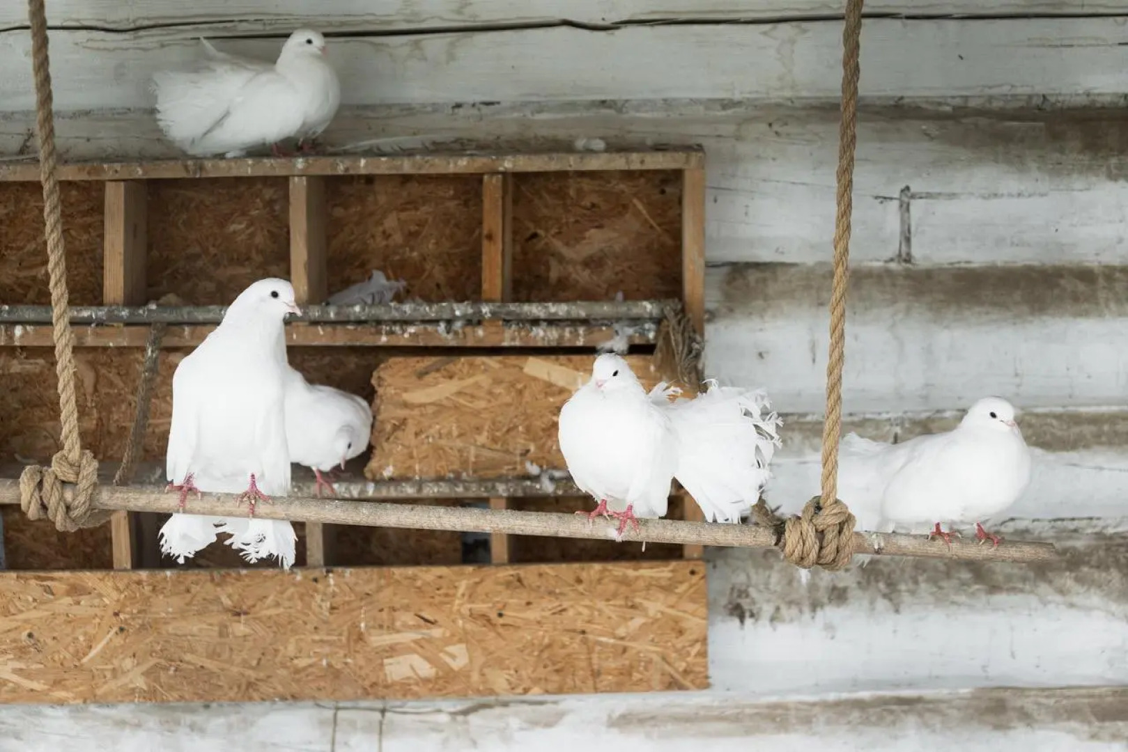 Лунежские горы