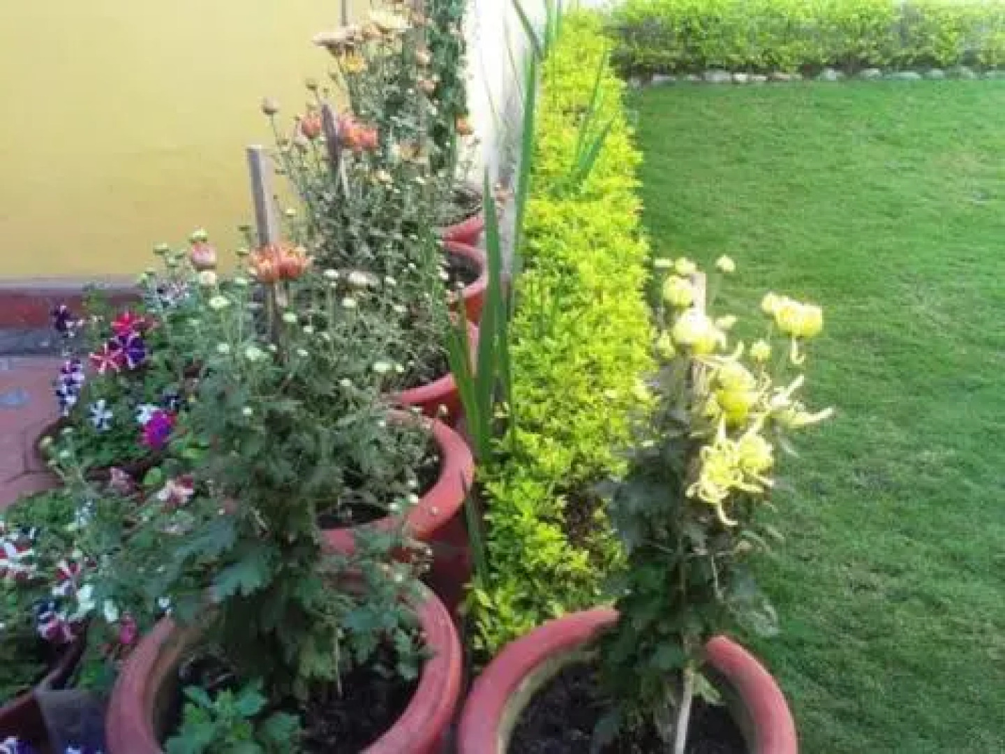 ISH, Atithya Homestay and Serviced Apartment