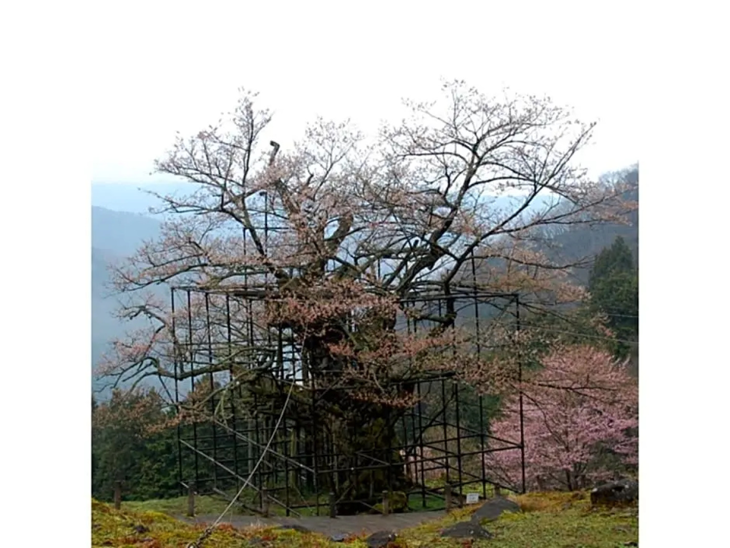 Pure Hotel - Vacation STAY 44177v