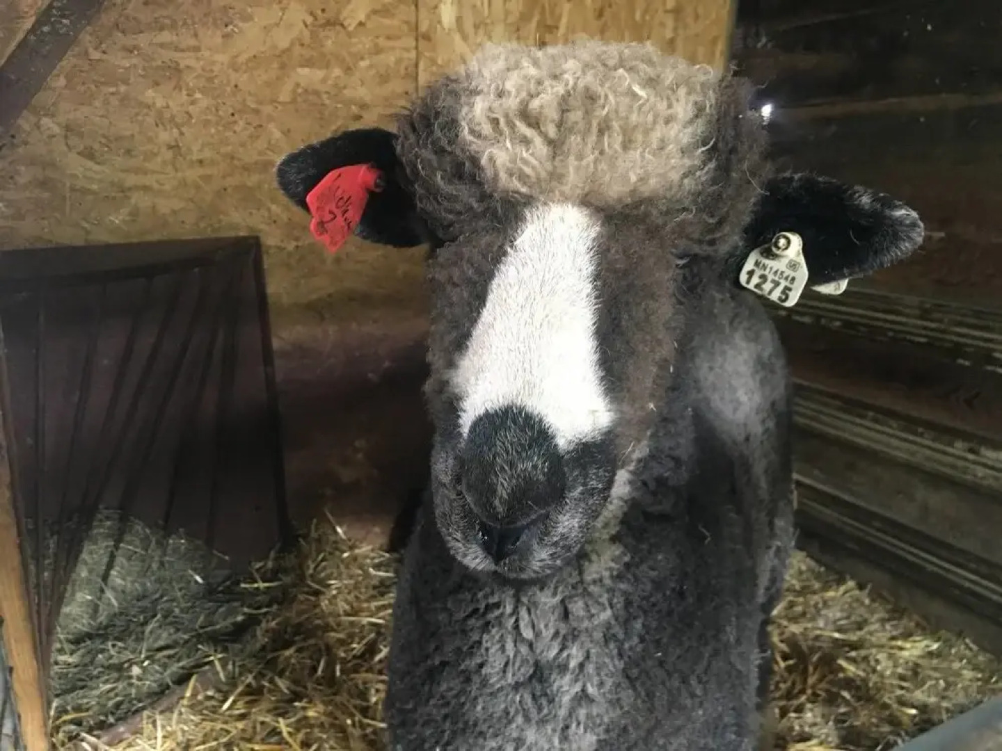 Tentrr - Emerald Views