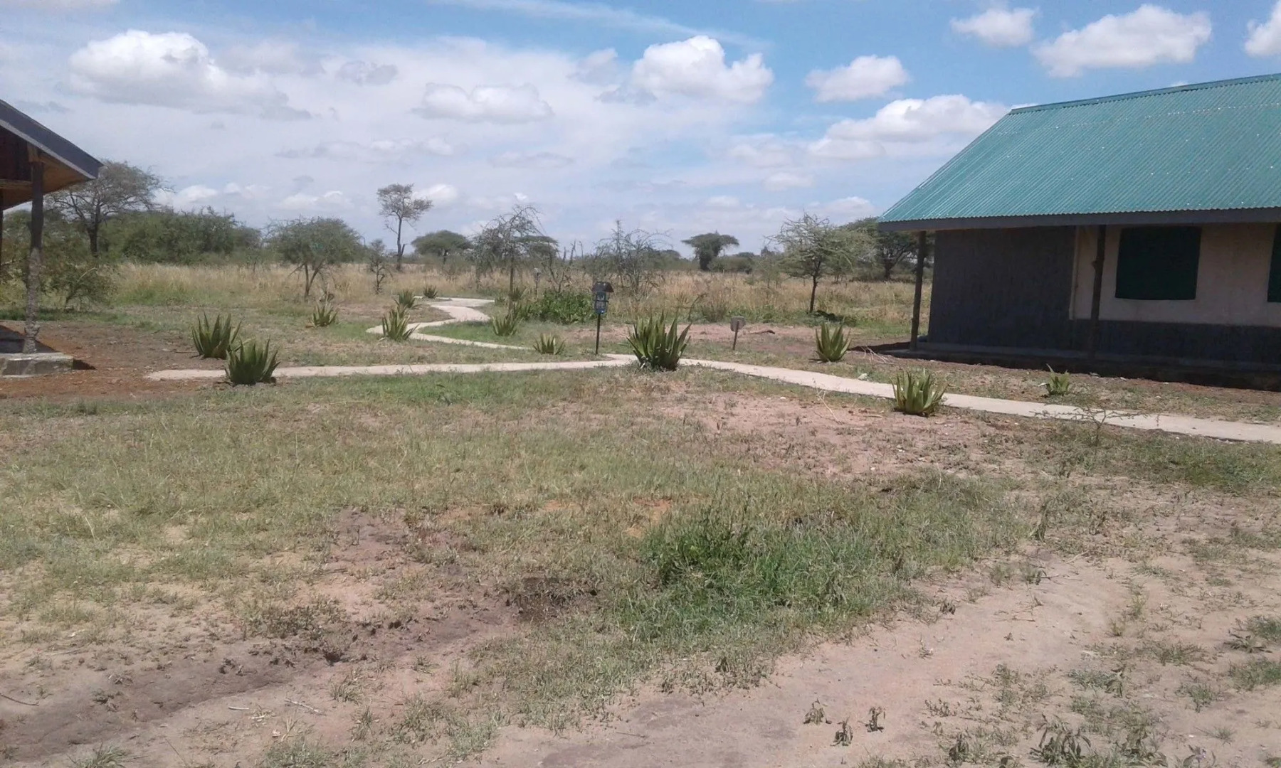 Zebra Kemang'ore Bush Tented Lodge