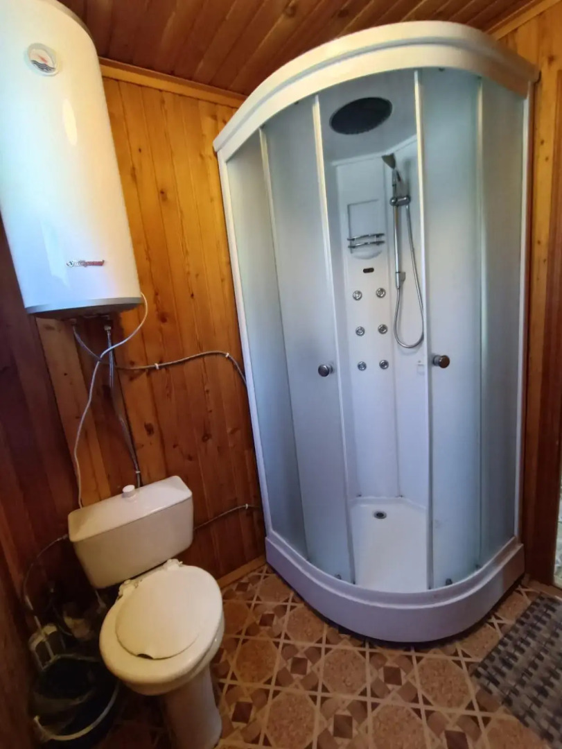 Камень Льва