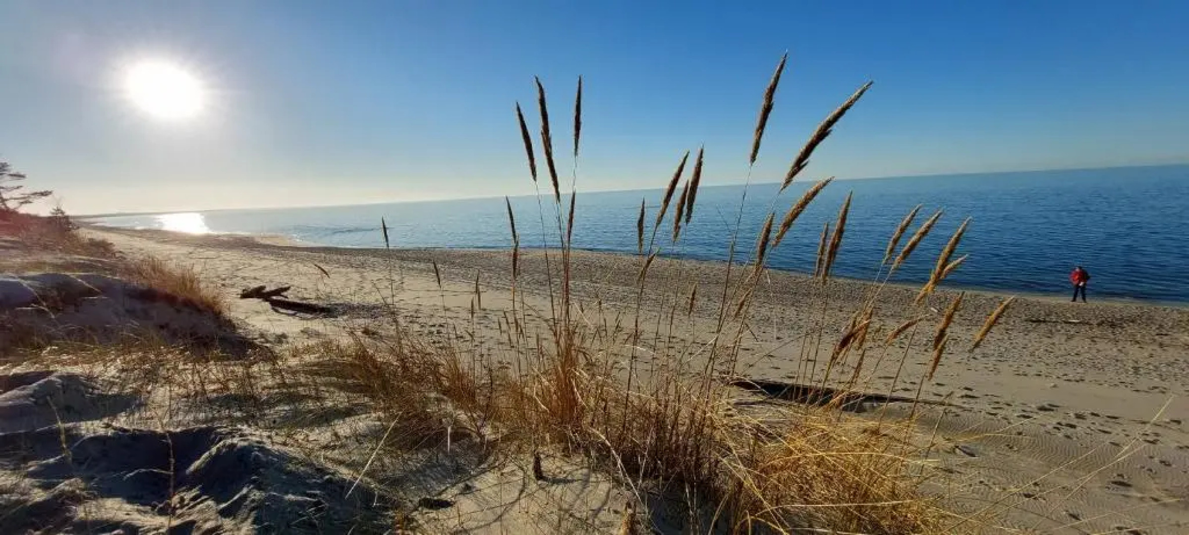 Apartament Biała Foczka