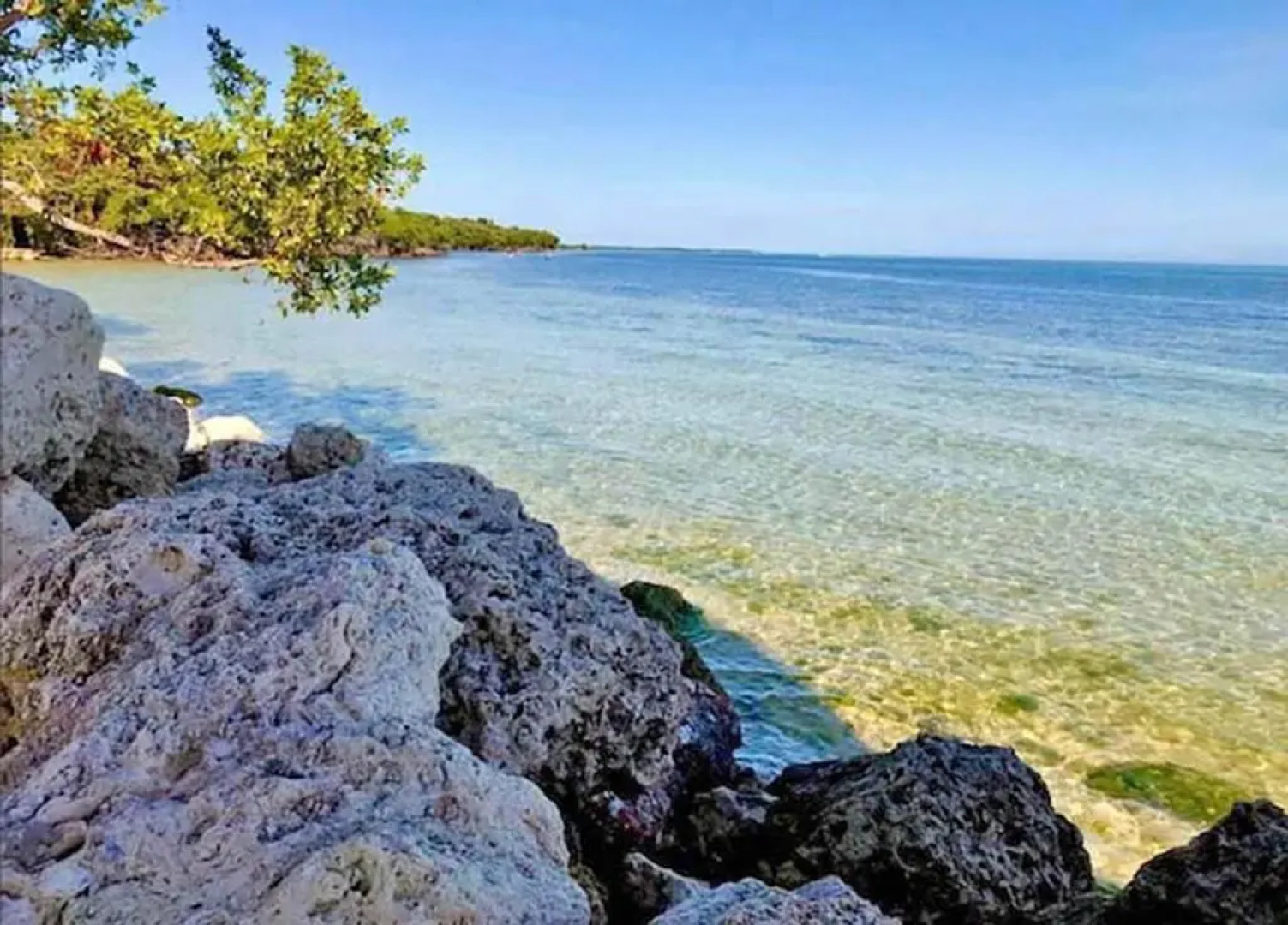 SEA MIST - Oceanfront-Lake-Kayak-Paddleboard-Bike