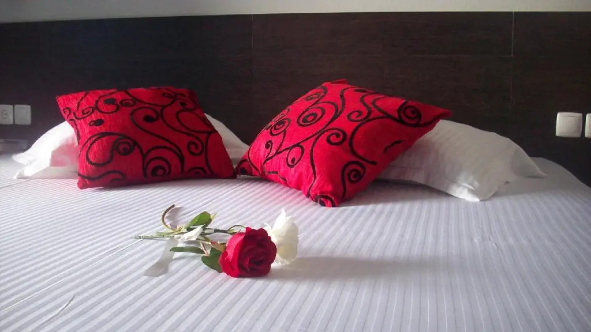 B&B Coração Ponta do Sol