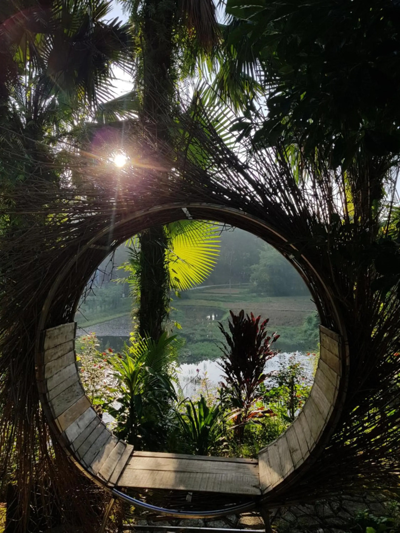 Vu Linh Palm House Eco Homestay