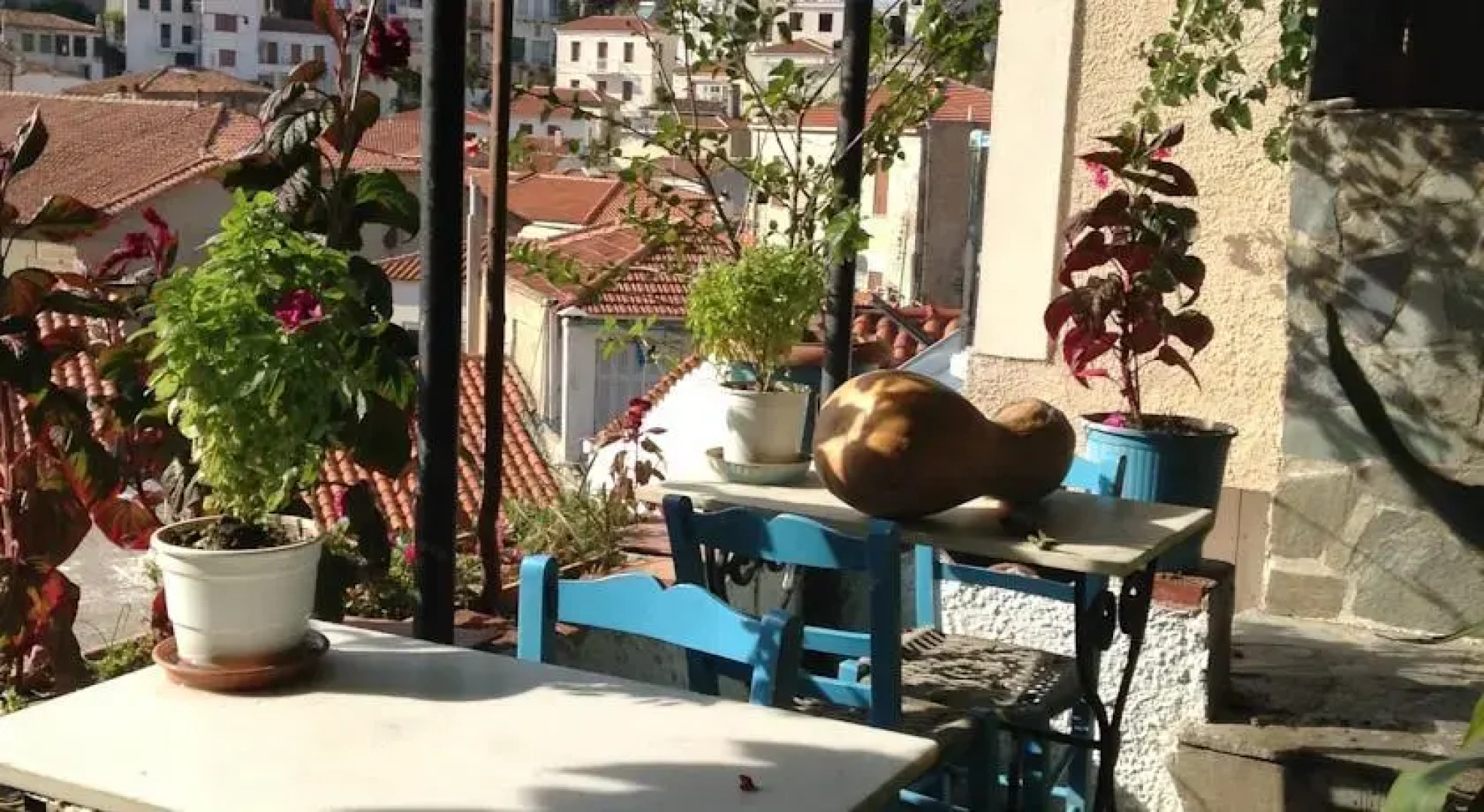 Traditional Guesthouse Leda