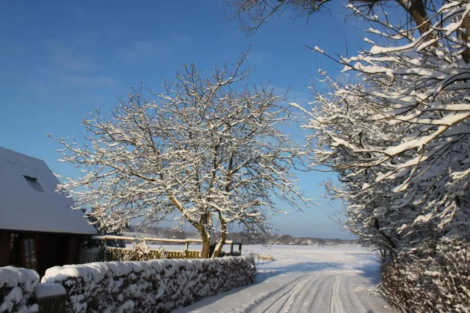 Borup Bed & Breakfast