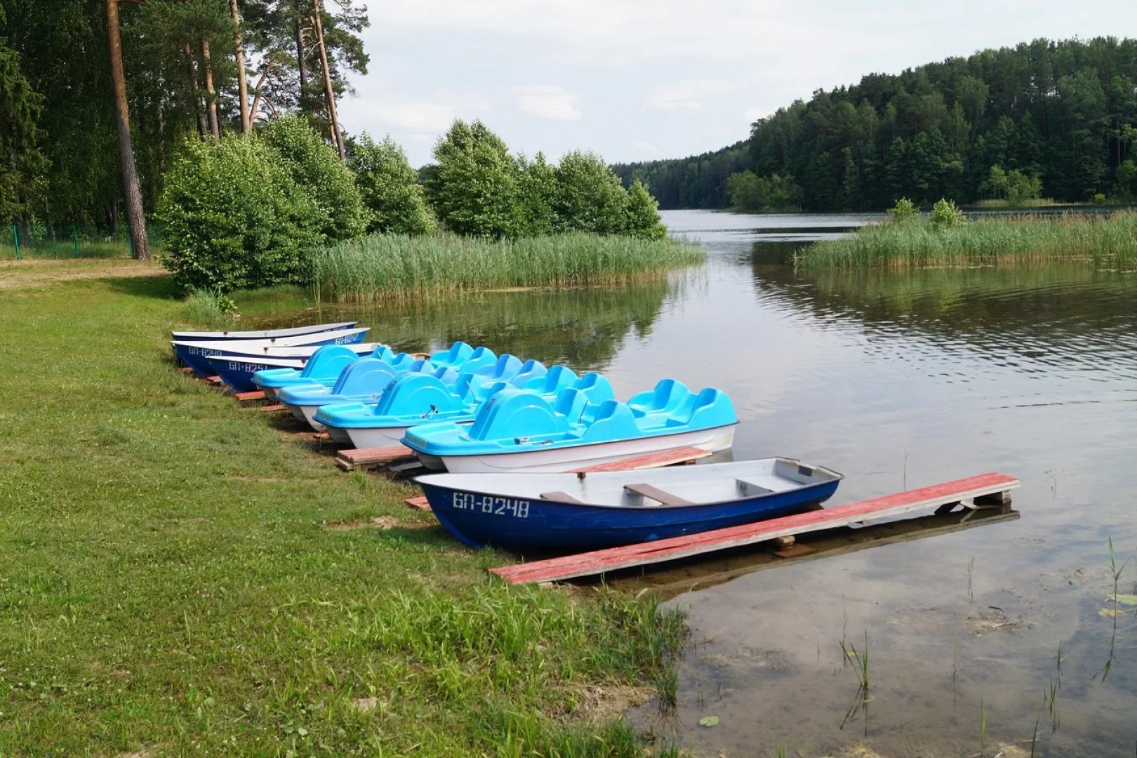Жемчужина (Витебская)