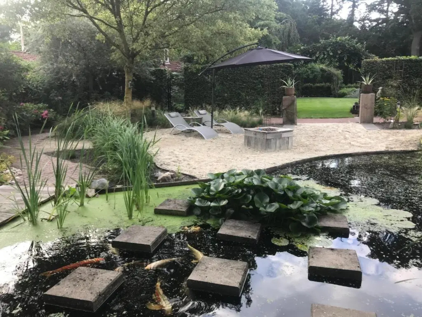 B&B. Het Hunebed Rolde