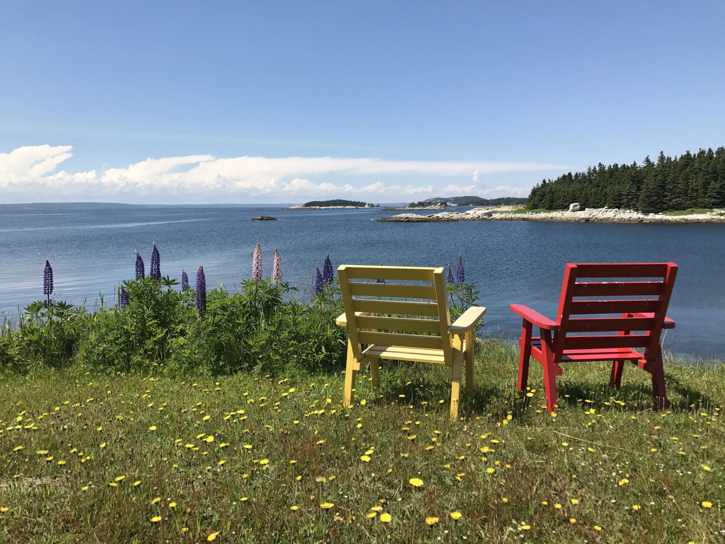 Lighthouse Lane Cottages