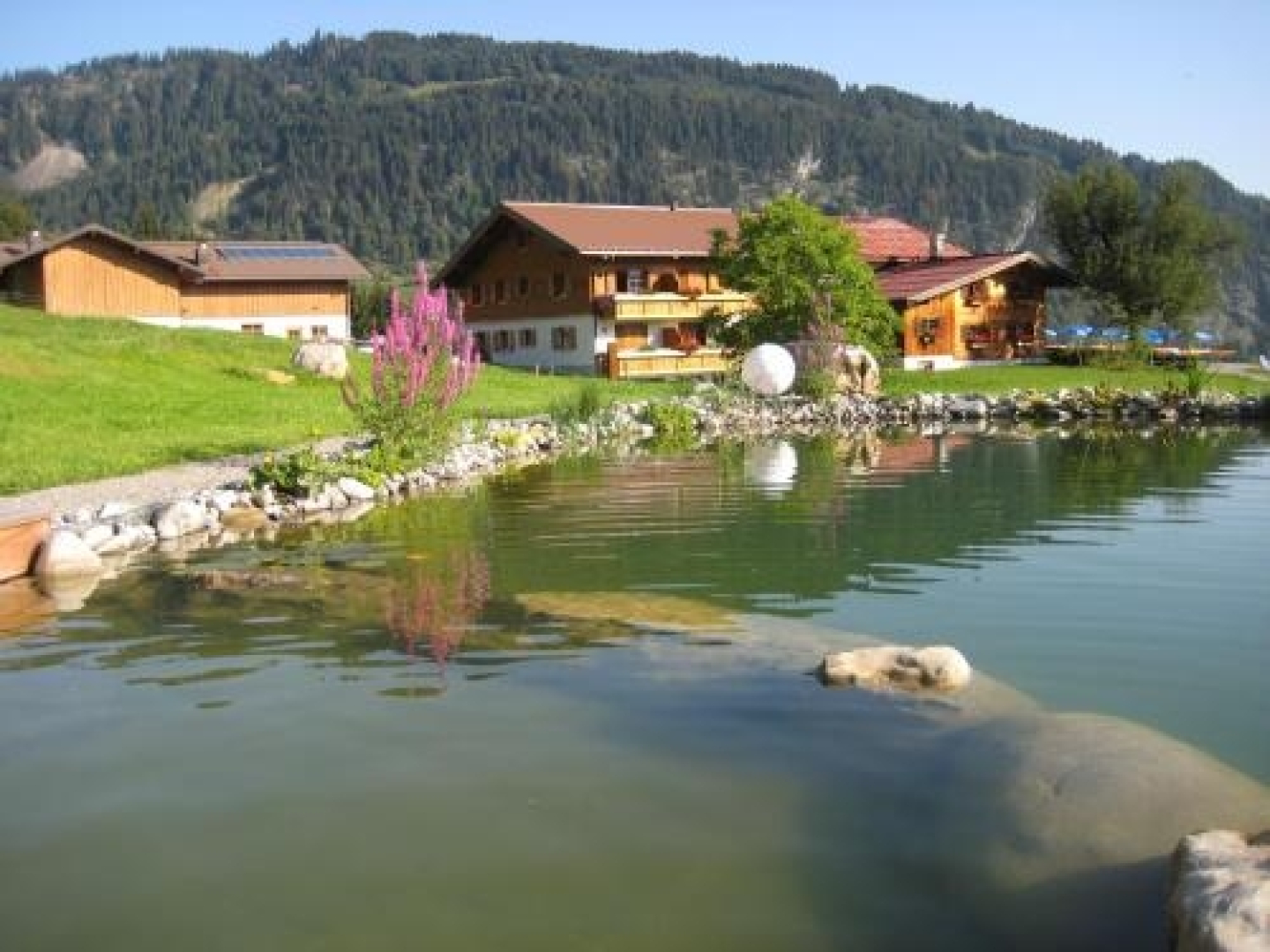 Alpe Dornach