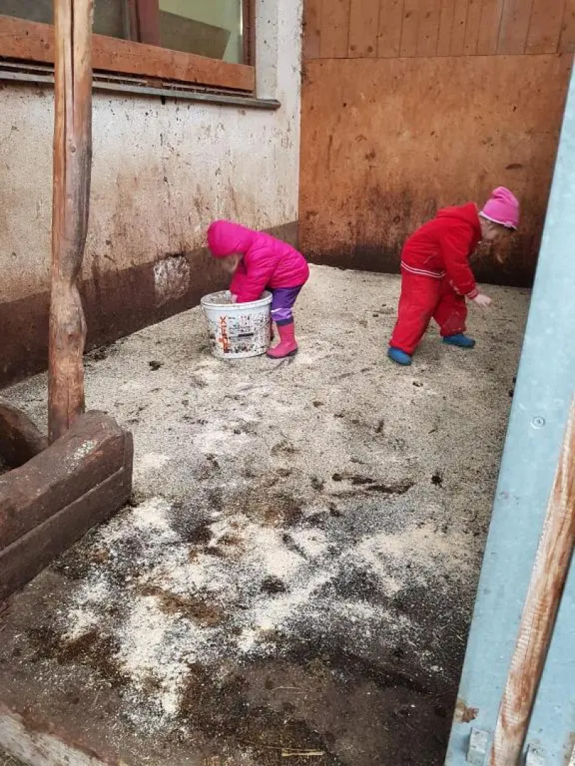 Haus Hochzeigerblick