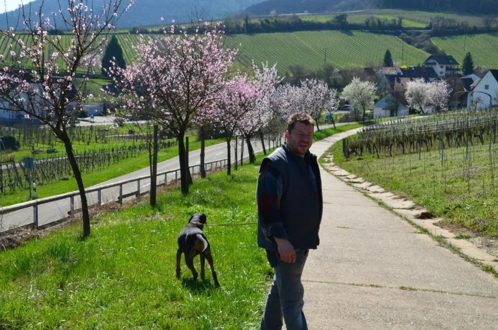 Hotel & Restaurant Castell