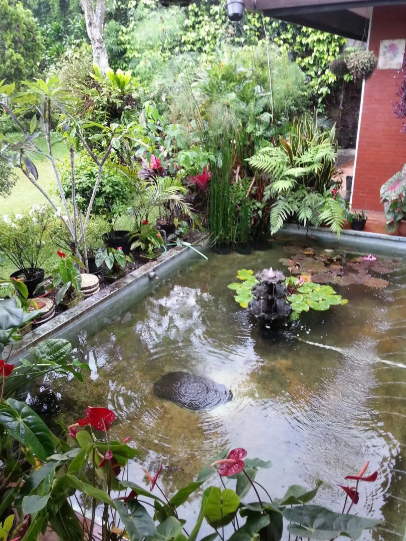 Vila Bunga Merah Gelatik