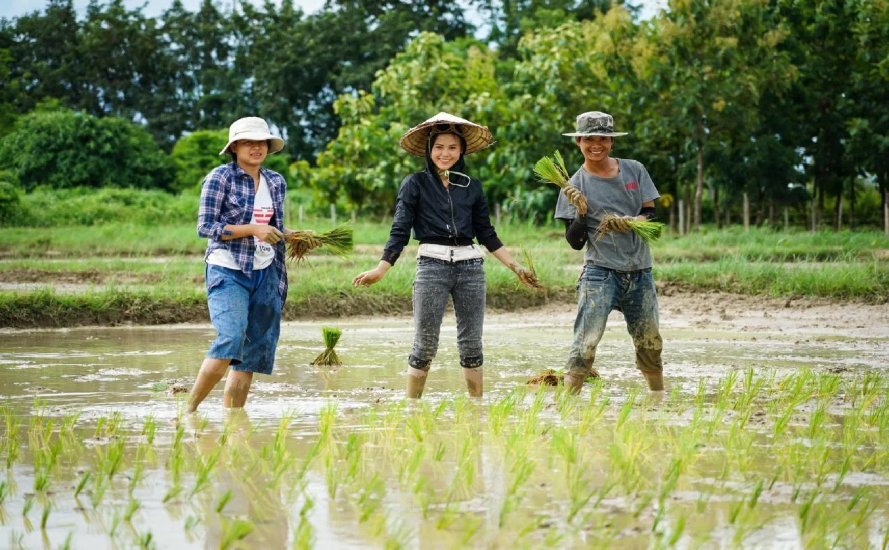 Karina Resort Chiang Mai