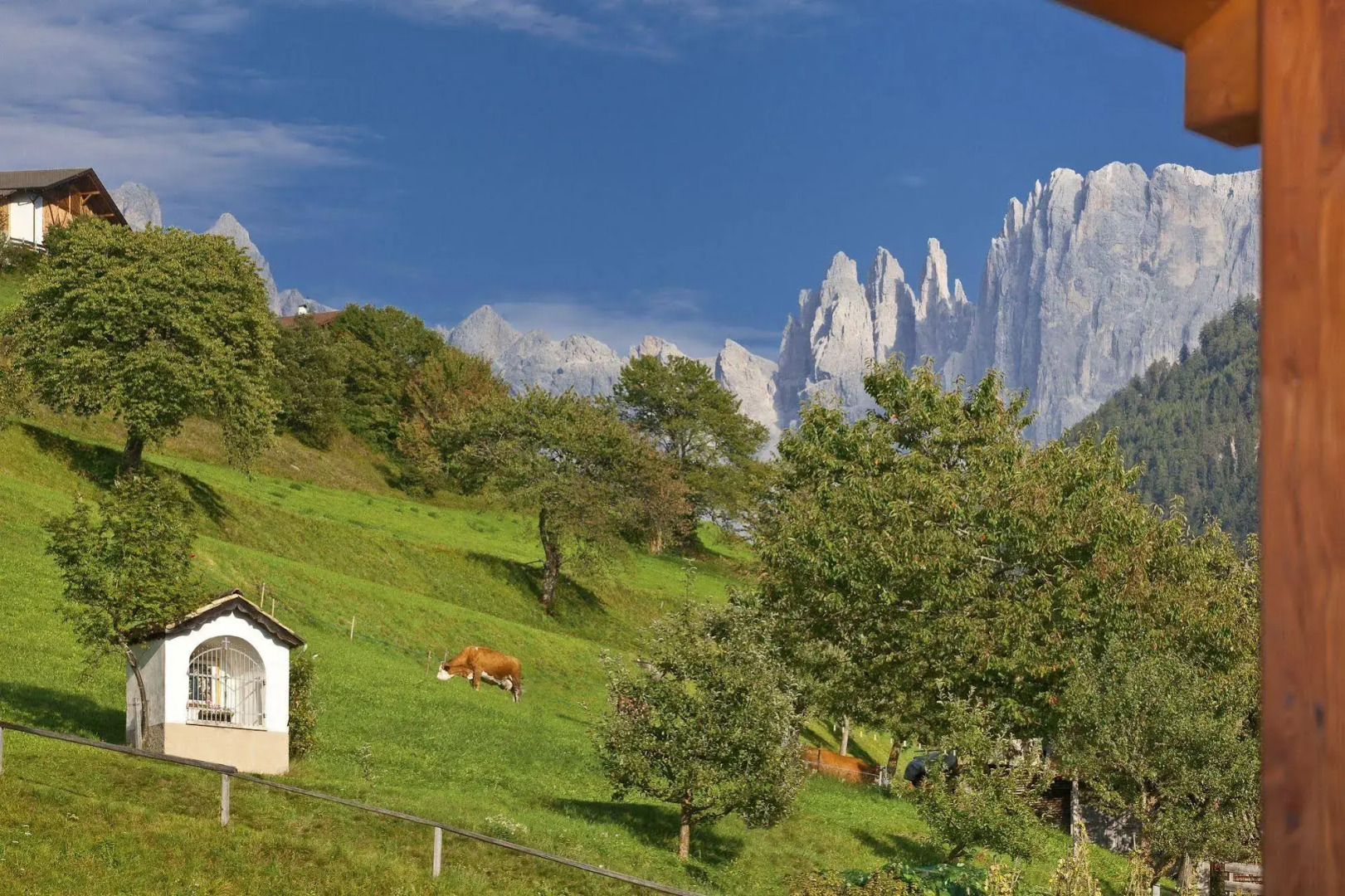 Alpinhotel Vajolet - Adults only