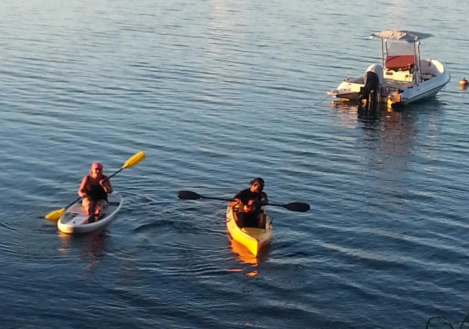 Gecko Lodge Fiji Private Hotel