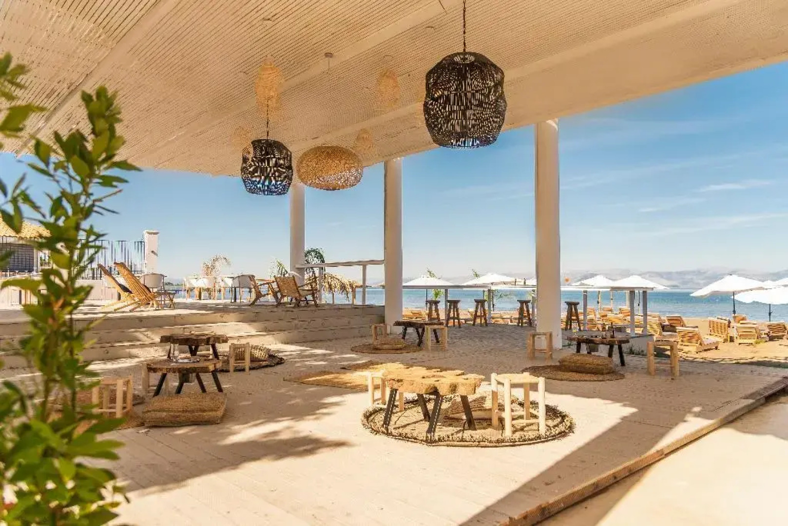 Olive Grove Beachfront Apartments & Suites