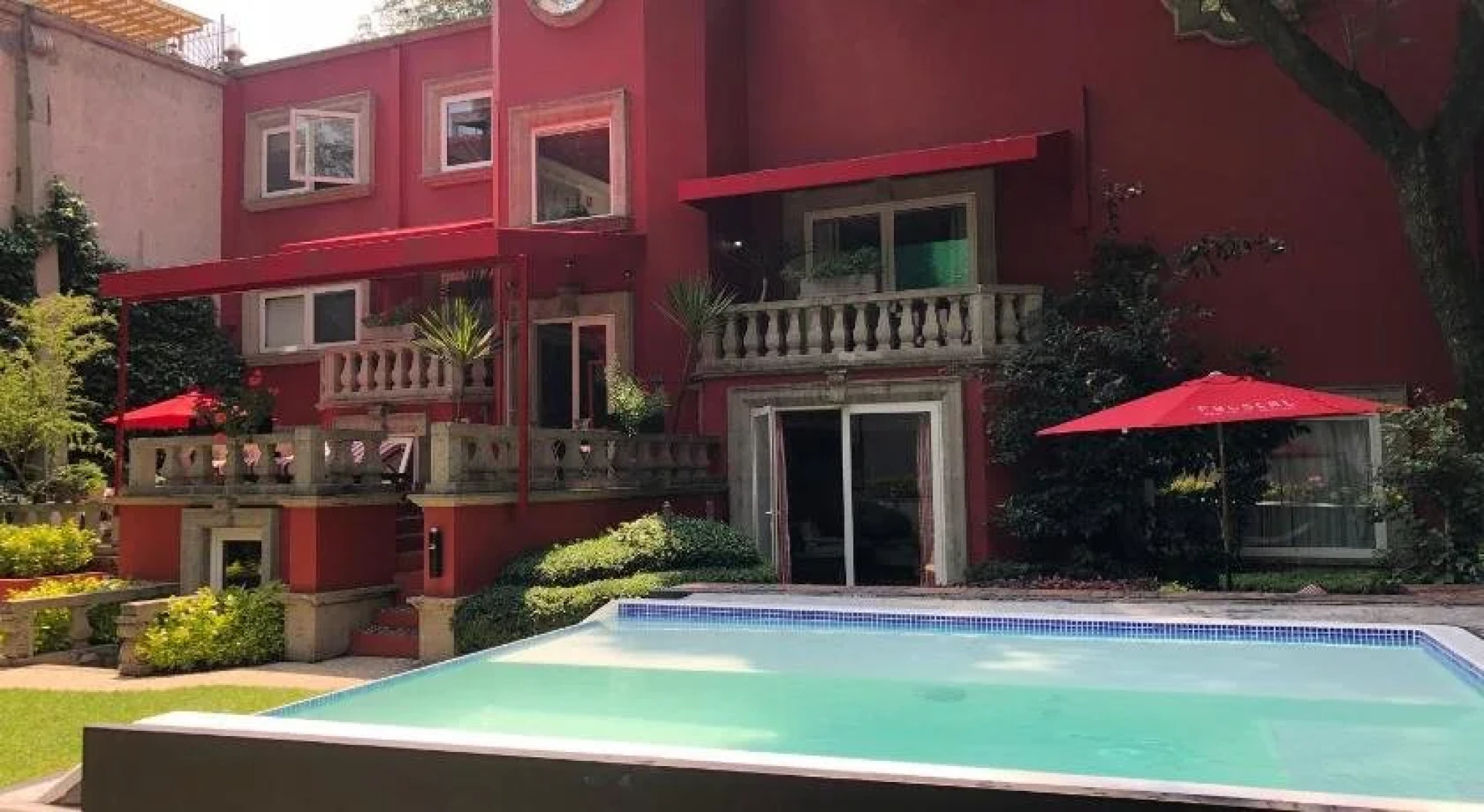 Pug Seal B&B Coyoacan