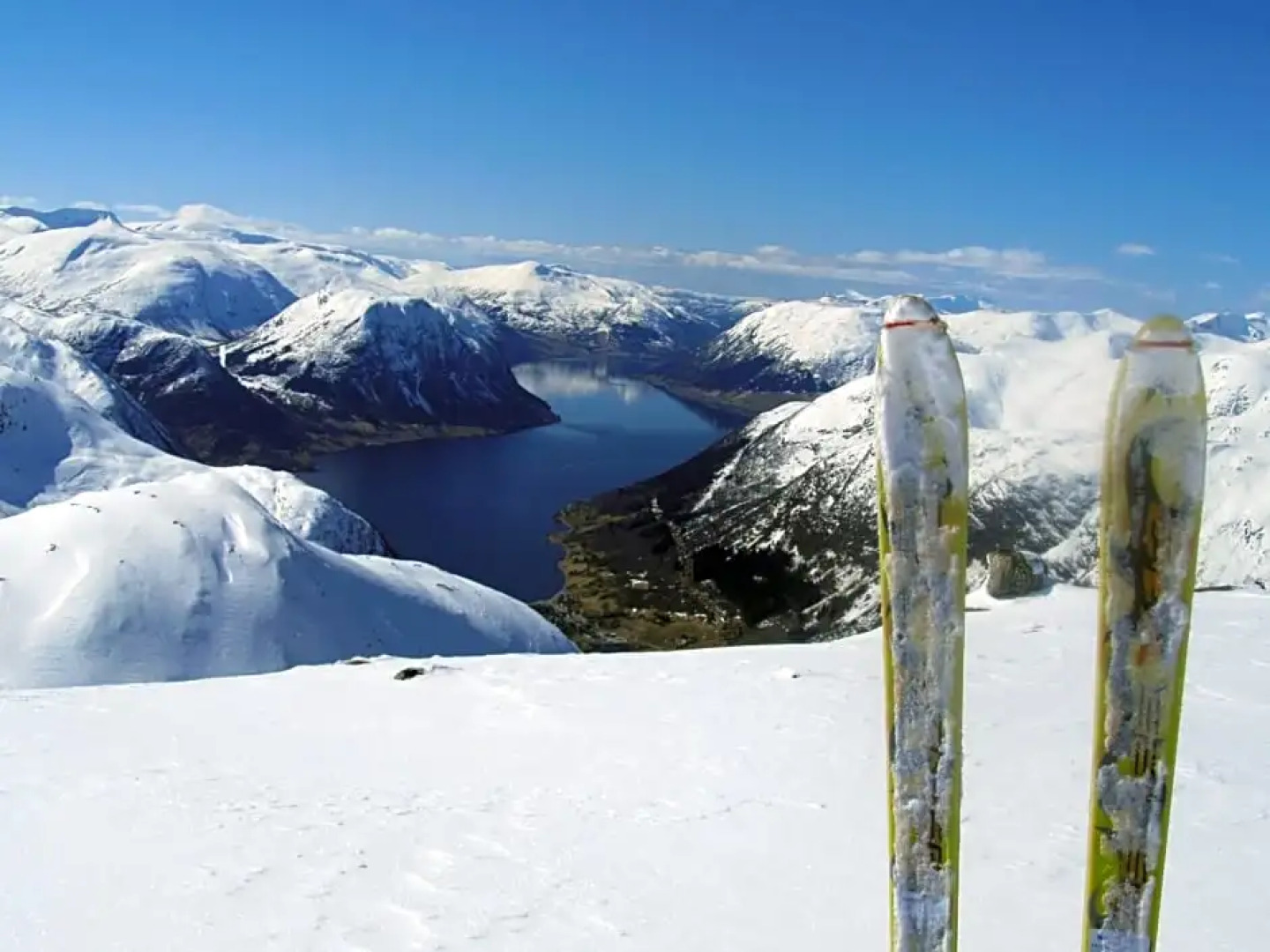 Jølsterlia Hyttetun