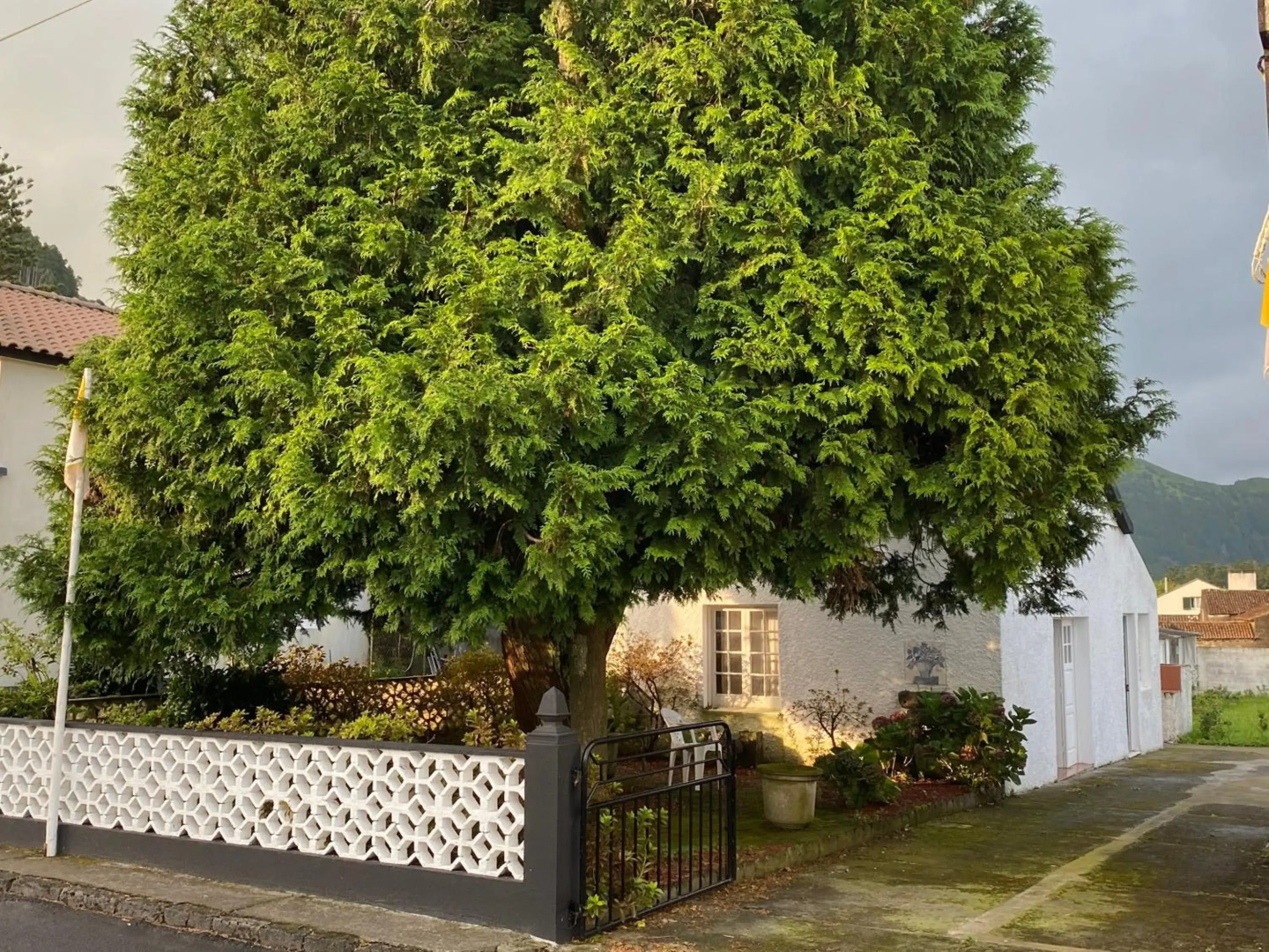 THE CEDAR TREE HOUSE Studio 48