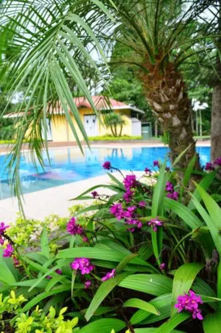 Club del Campo Hotel & Centro de Convenciones