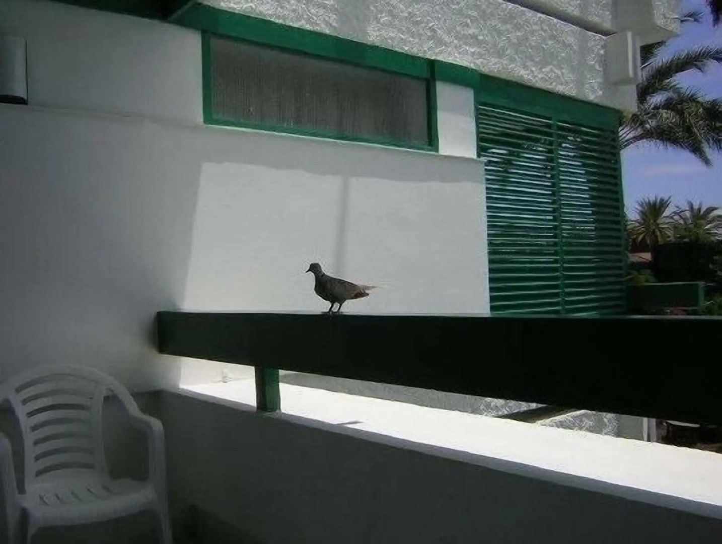 Apartamentos Maba Playa