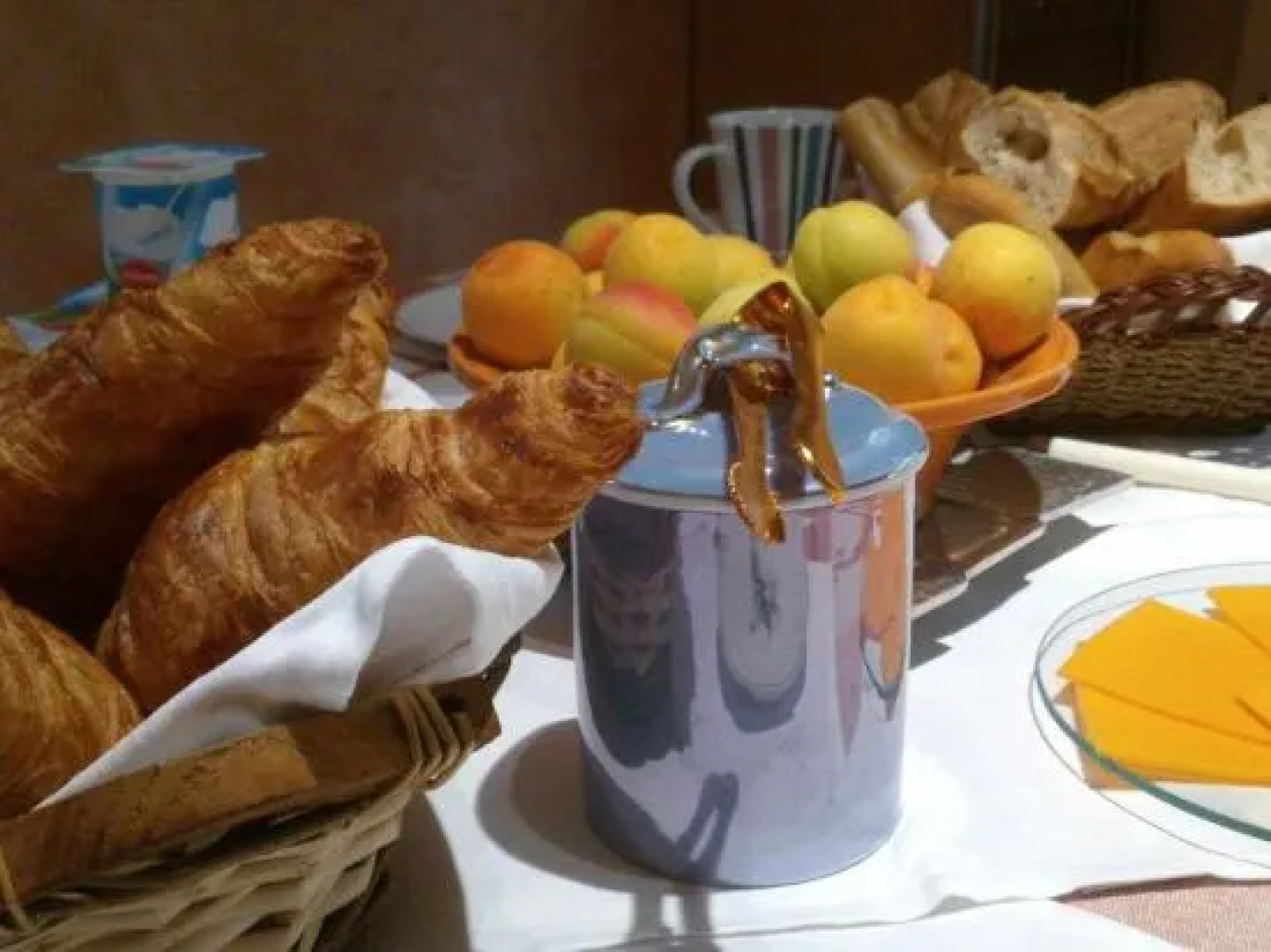 LEntre Garonne et LOlivier