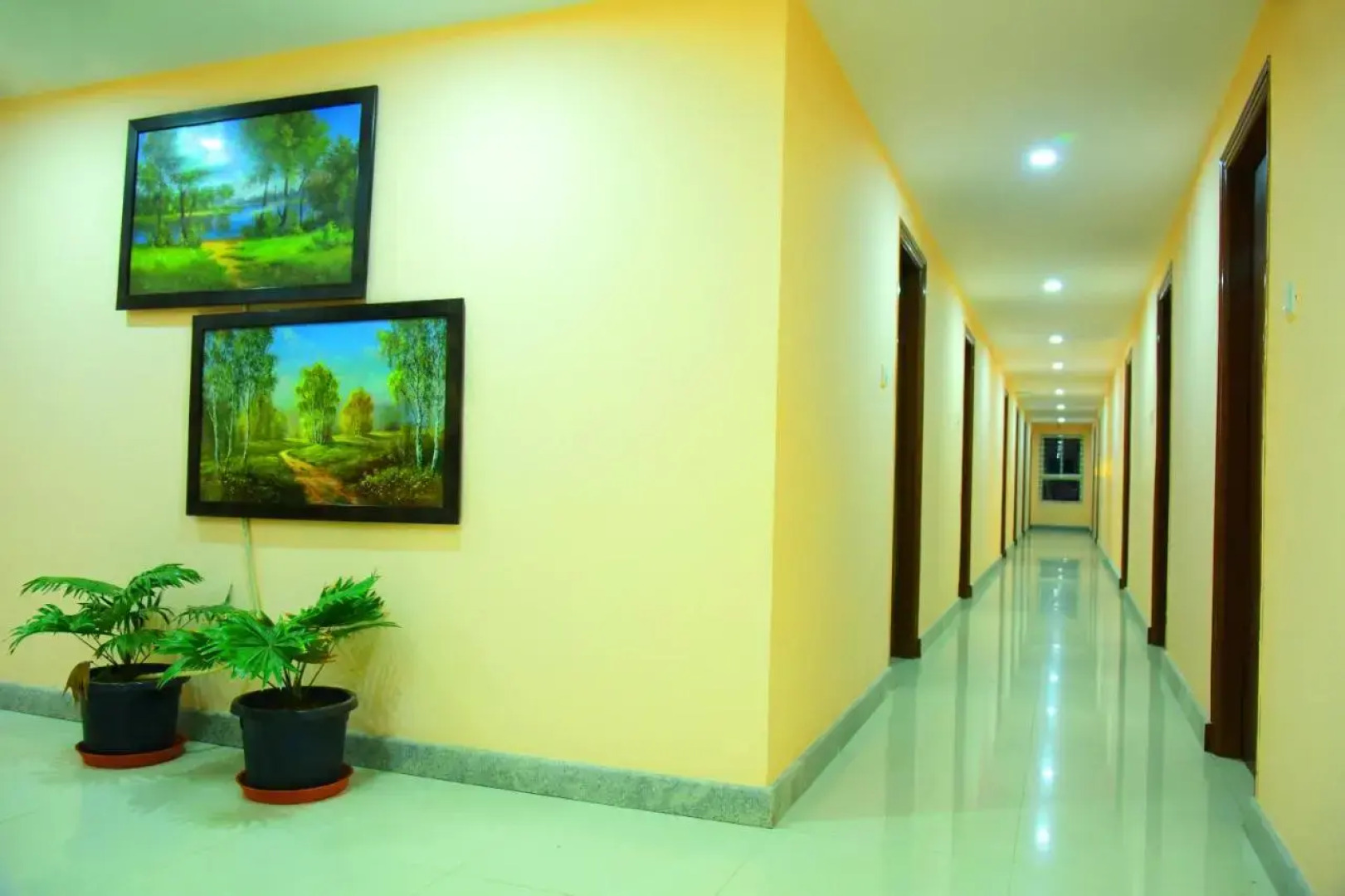 Housefinch Residency