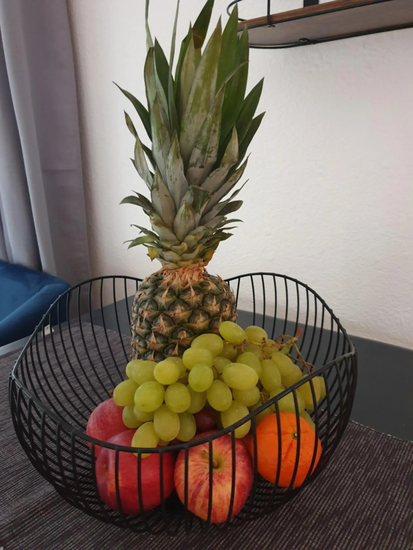 Gästezimmer - Scholz & Scholz GBR